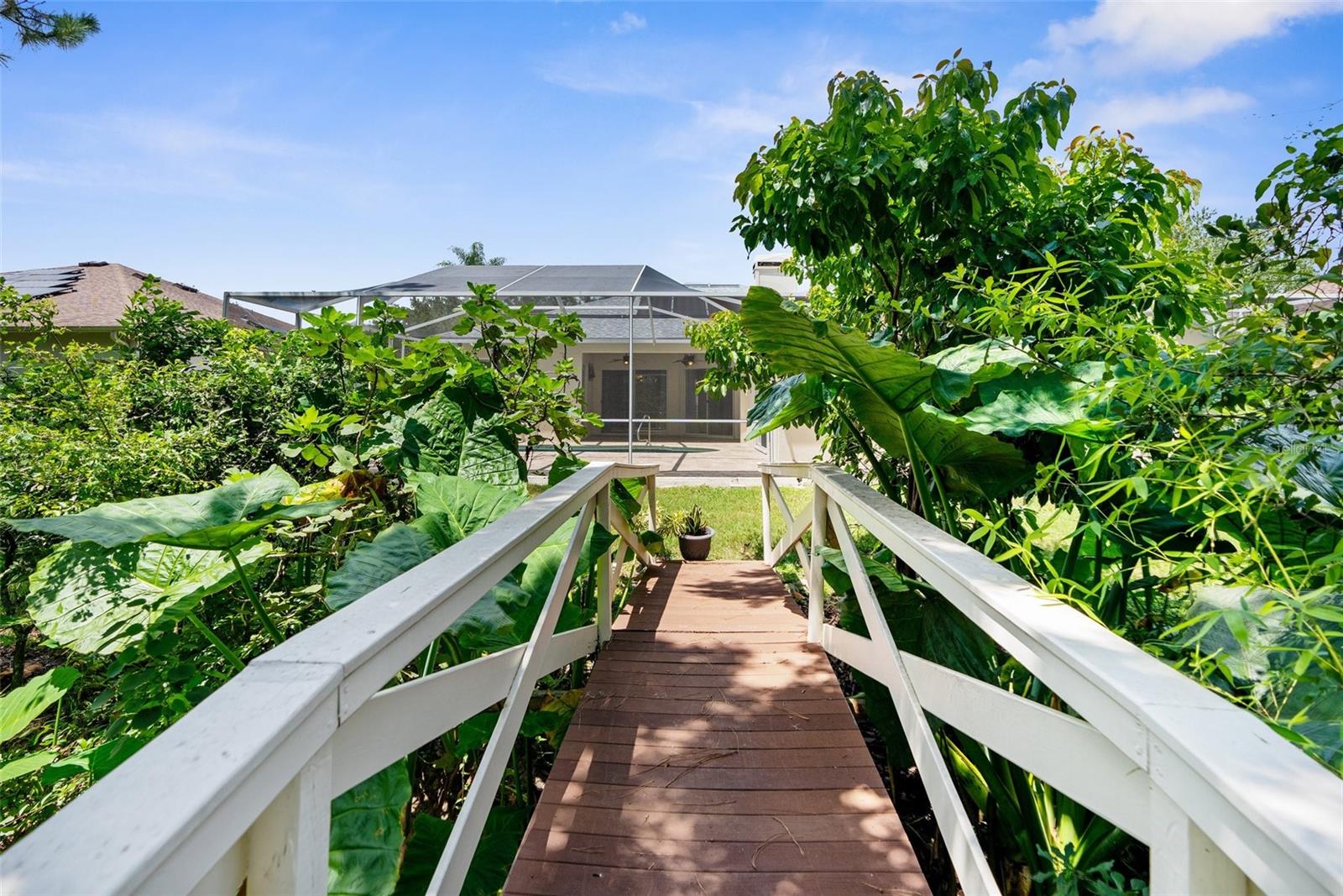 Bridge to Back Conservation Area / Deck