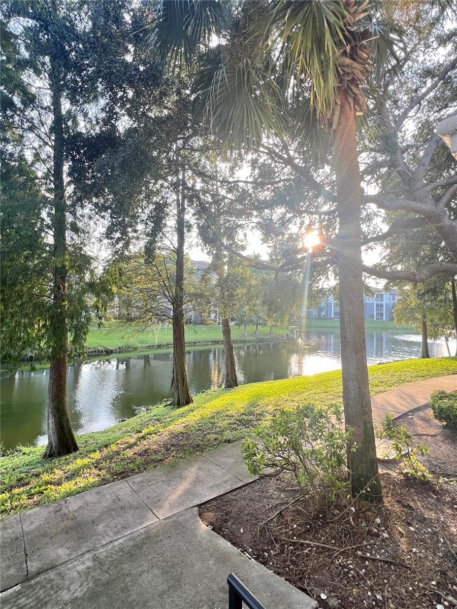 There is a walking path around the lake next to this building.