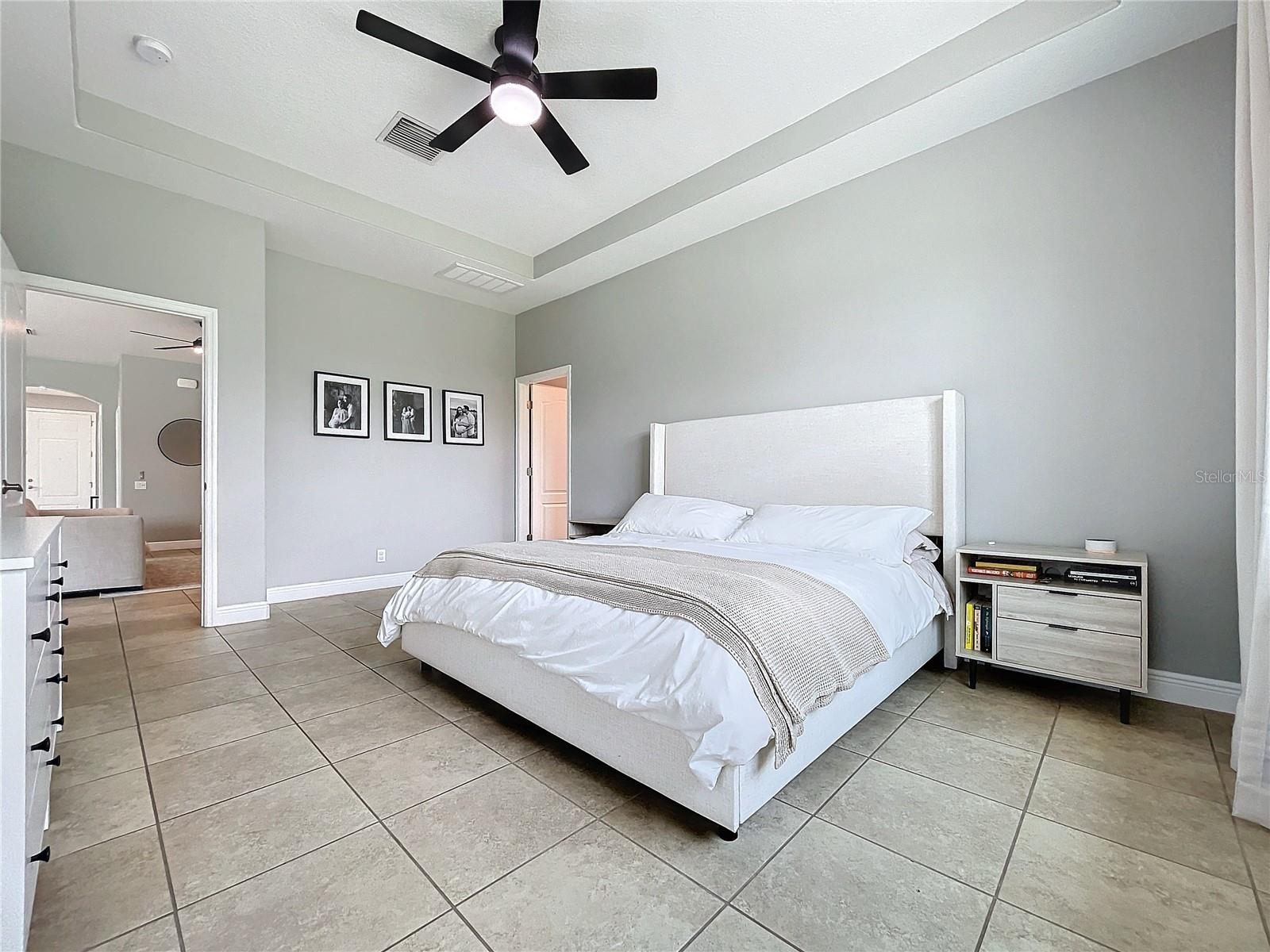 Primary Bedroom with tray ceilings