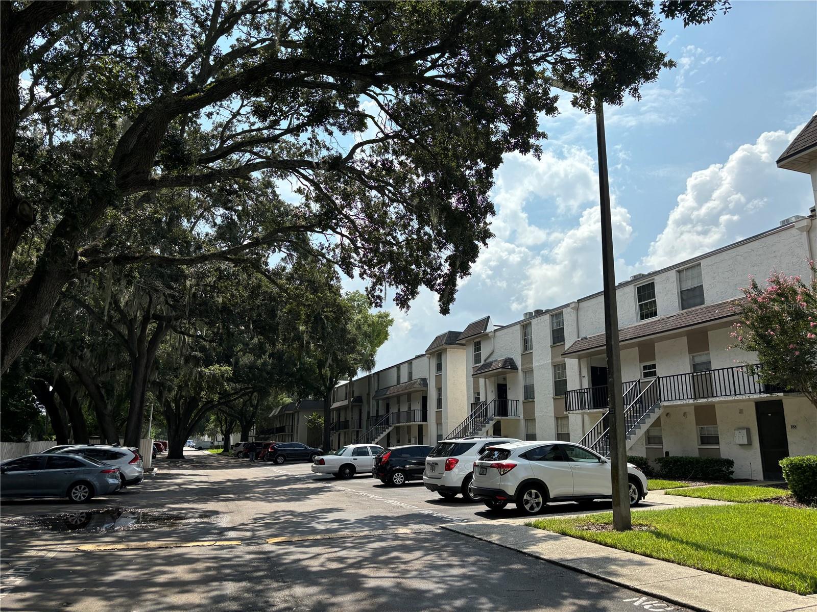 mature quiet streets