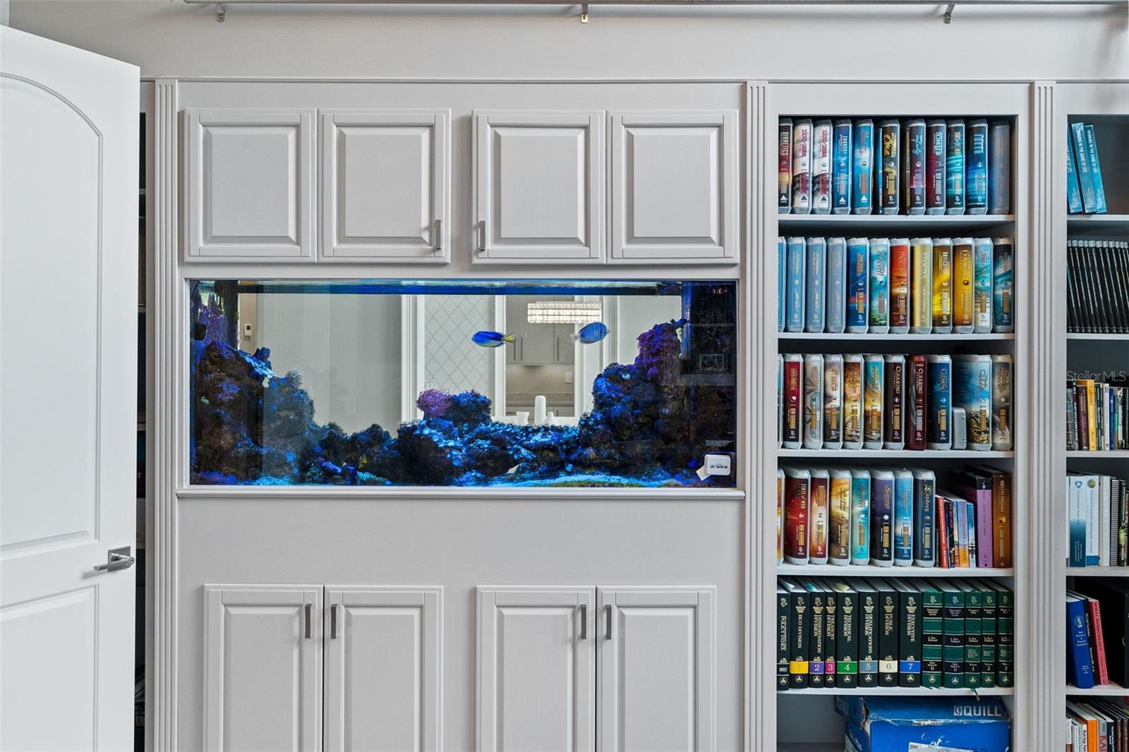 Office cabinetry and aquarium (low maintenance)