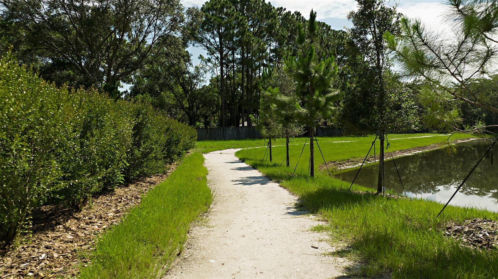 Community Walking Path