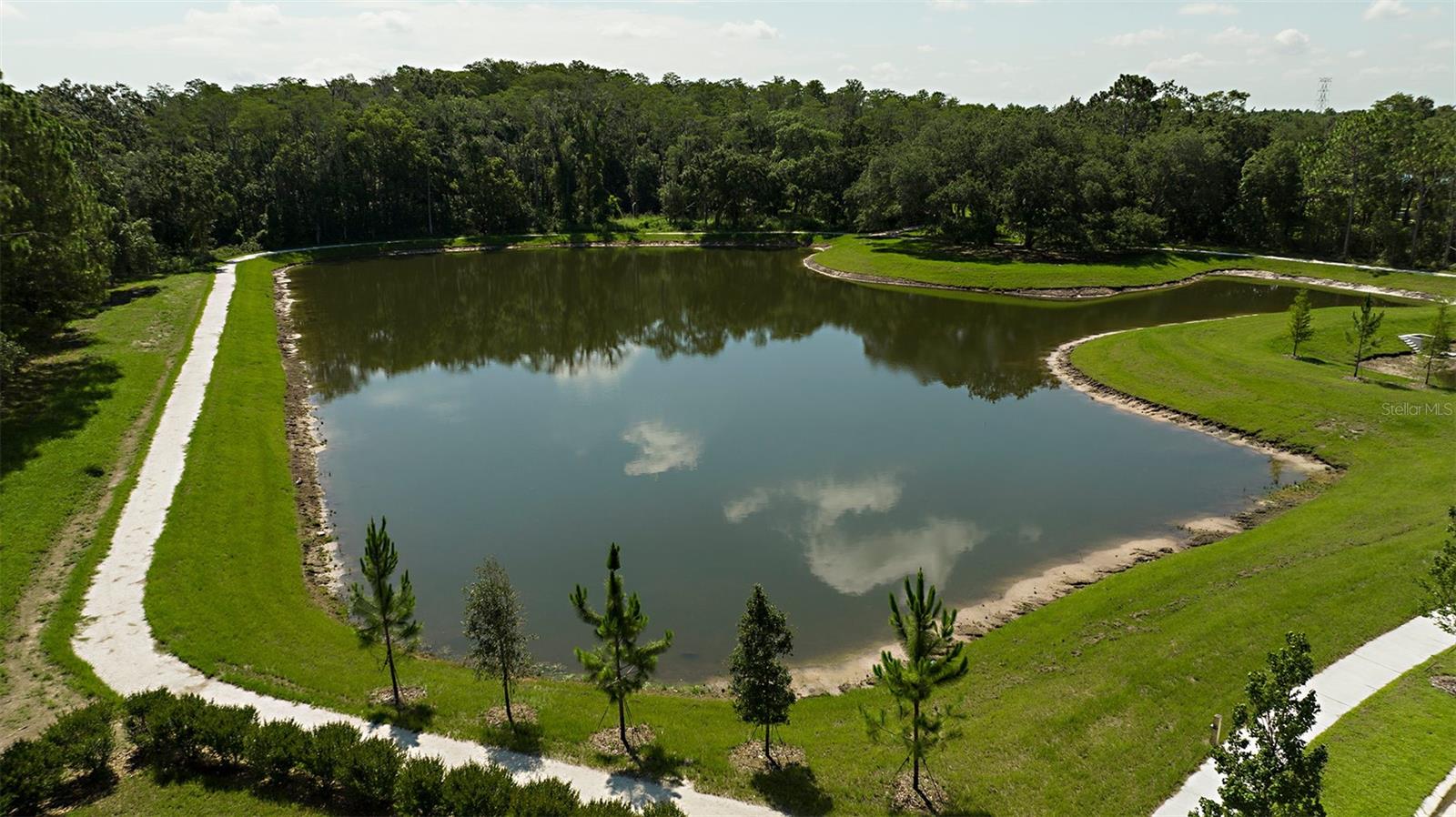 Community Pond