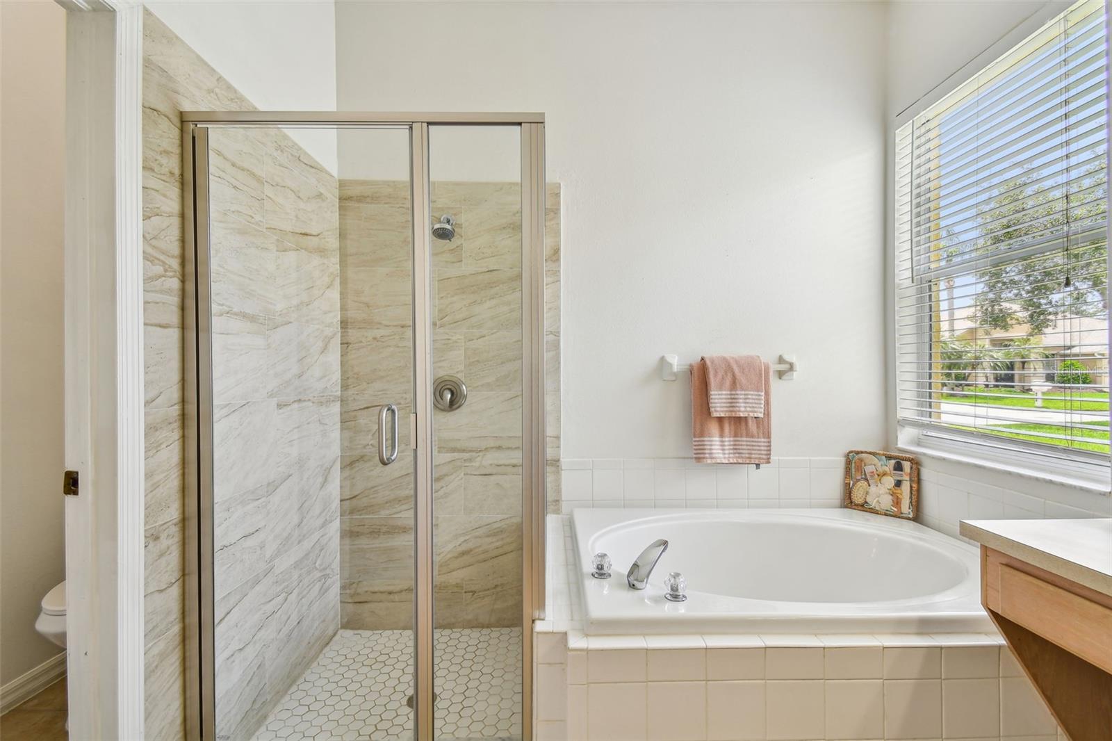 Primary Bathroom shower with garden tub