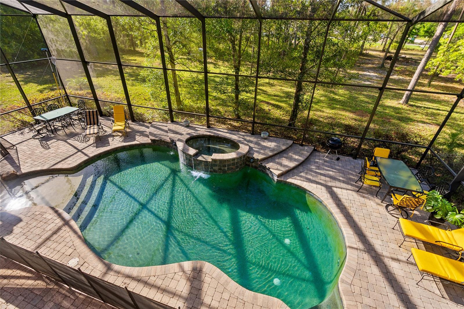 Pool/ spa View