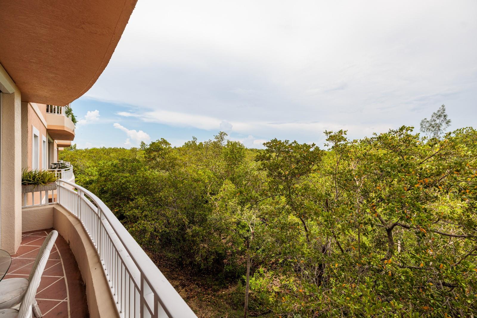 Exterior Back/Balcony/View