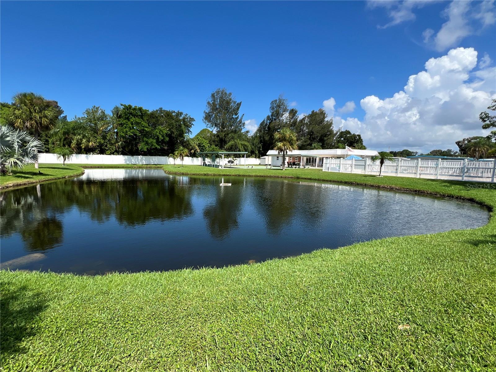 Pond in community