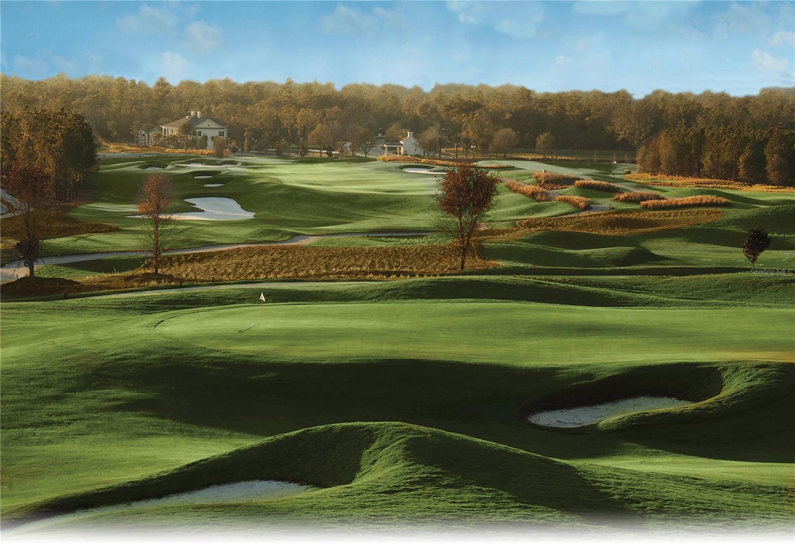 Pete Dye Course