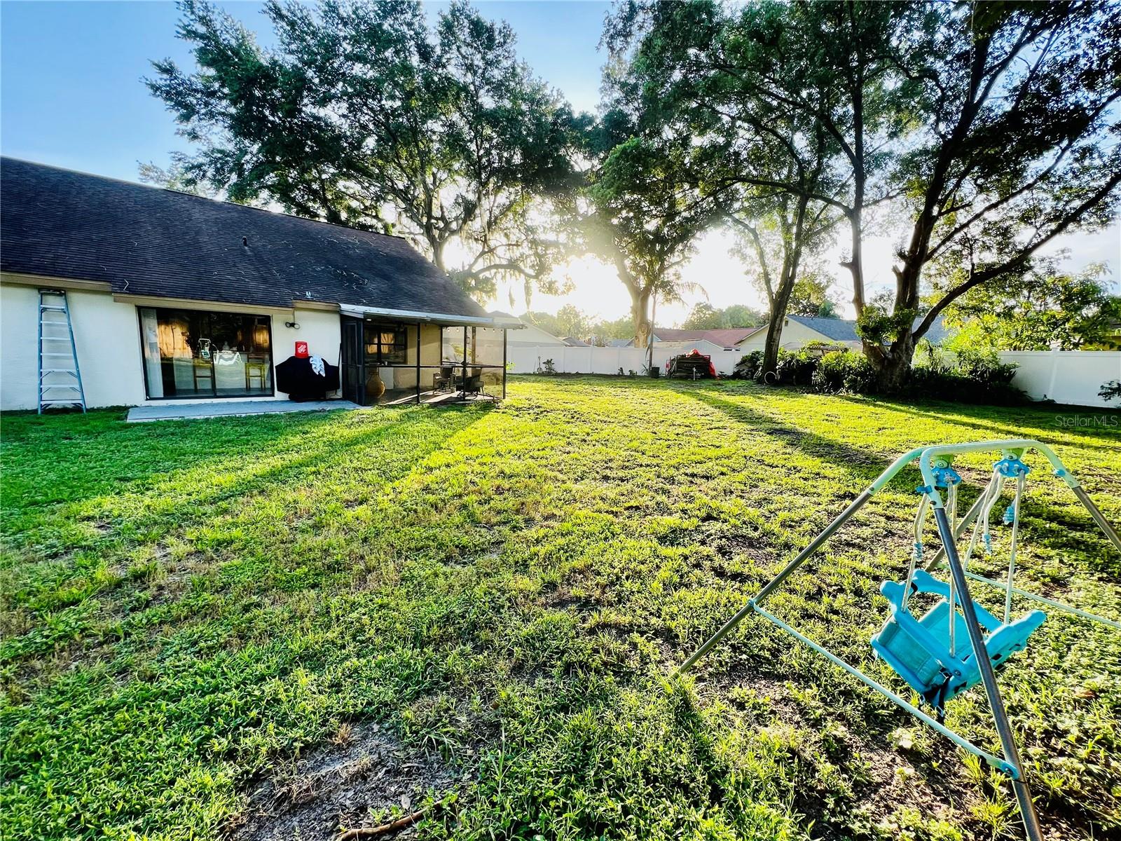 Back yard