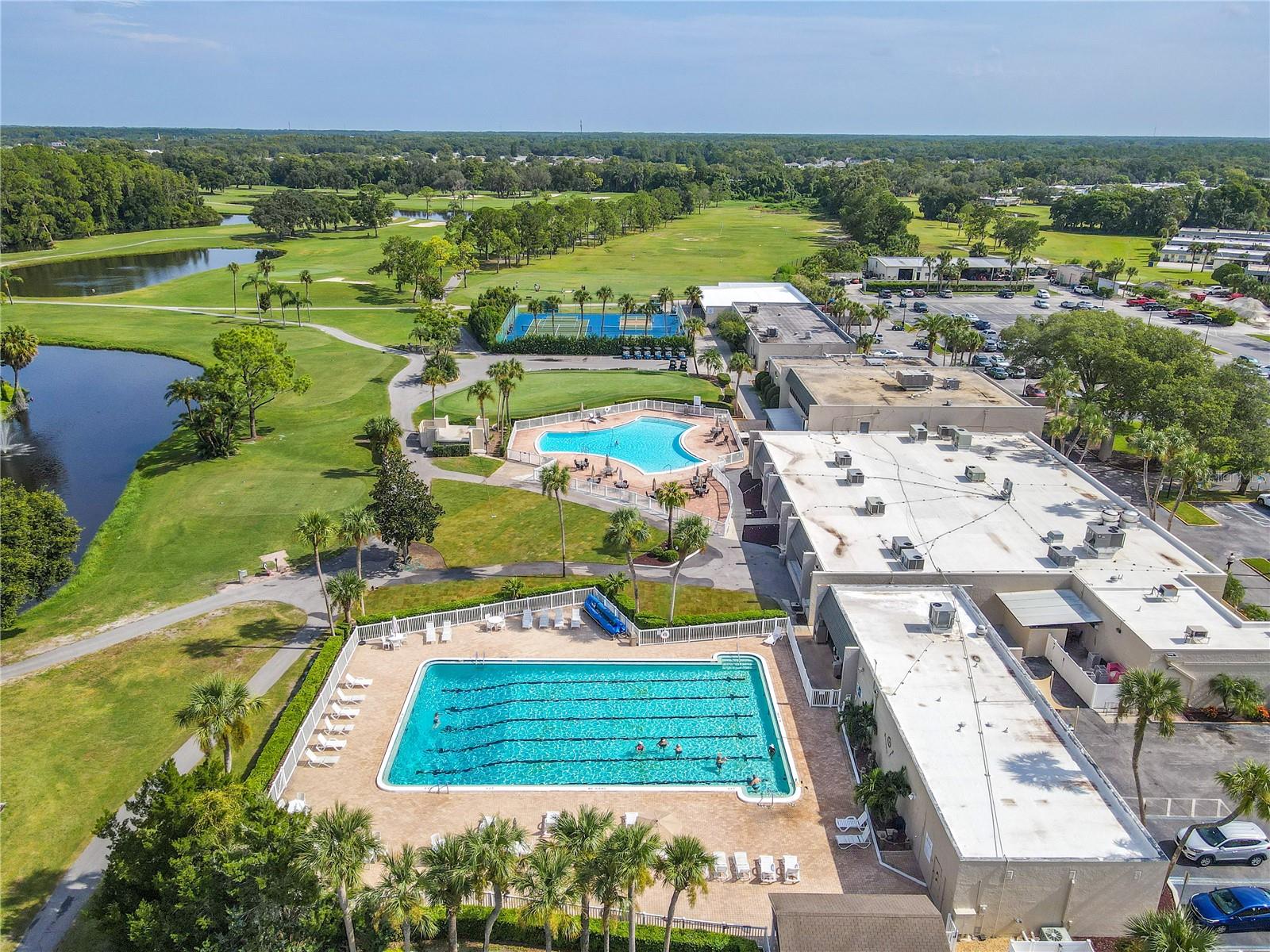 Seven Springs lap pool