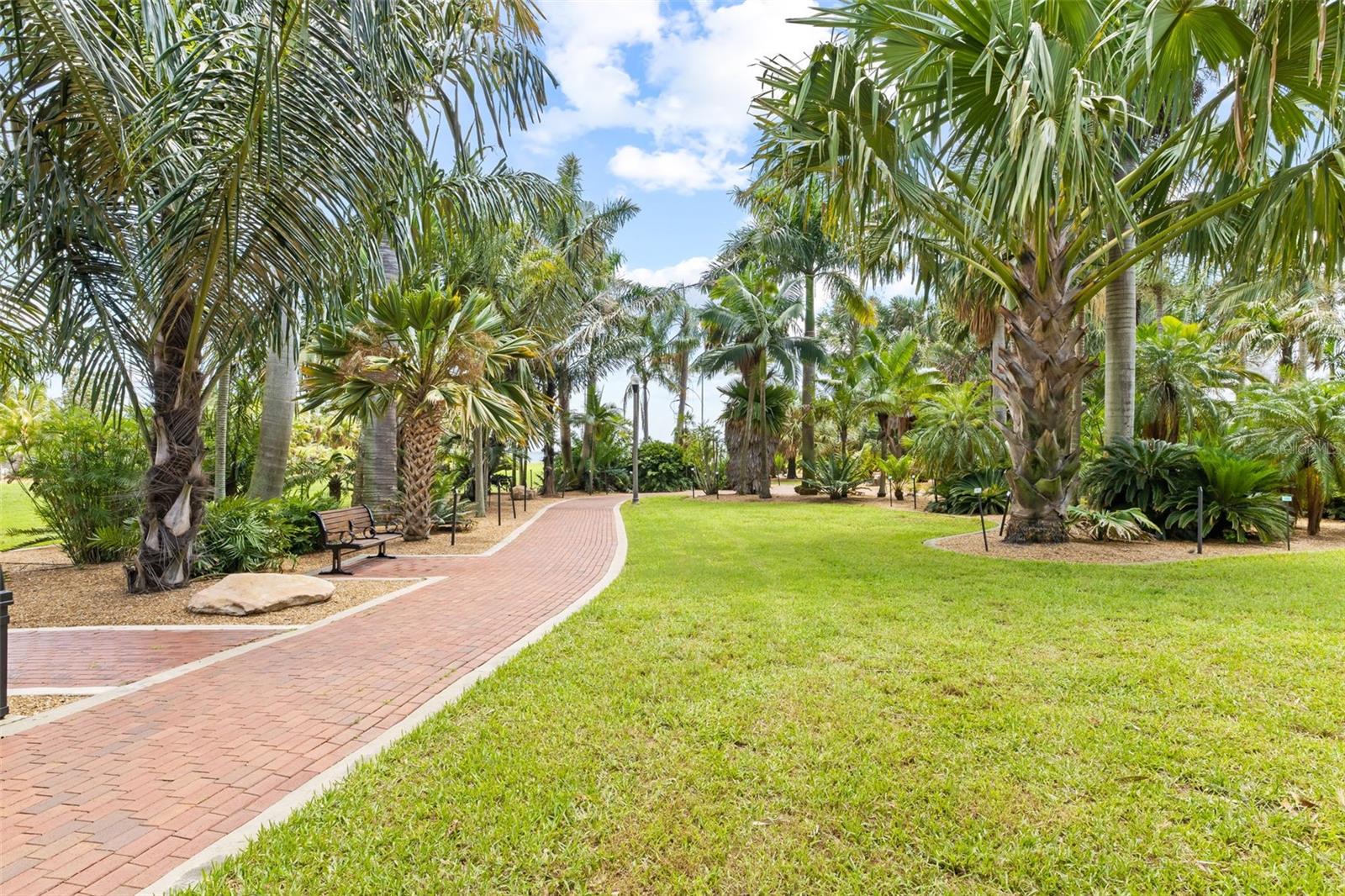 A nature walk across the street through an impressive variety of palm tree species.