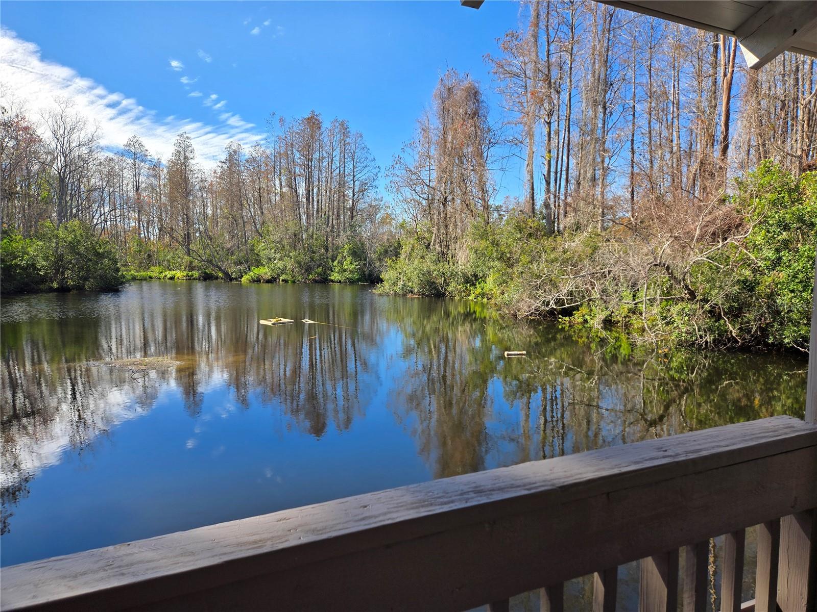 View of the Community Lake from the Water Deck