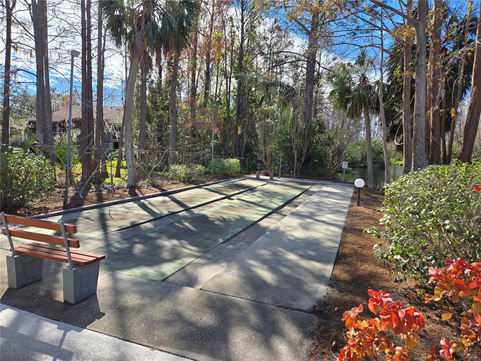 Community Shuffleboard