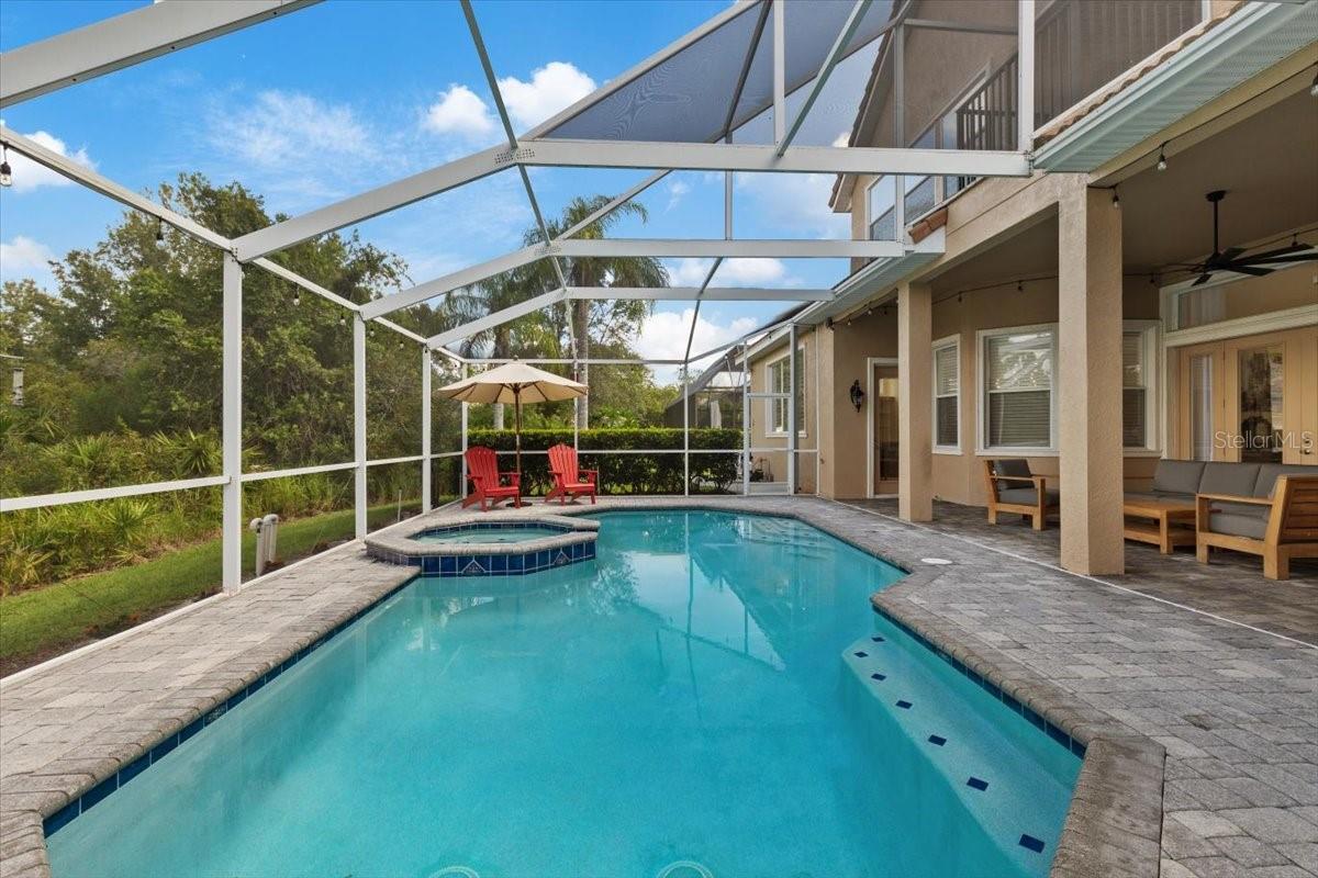 Pool and Jacuzzi