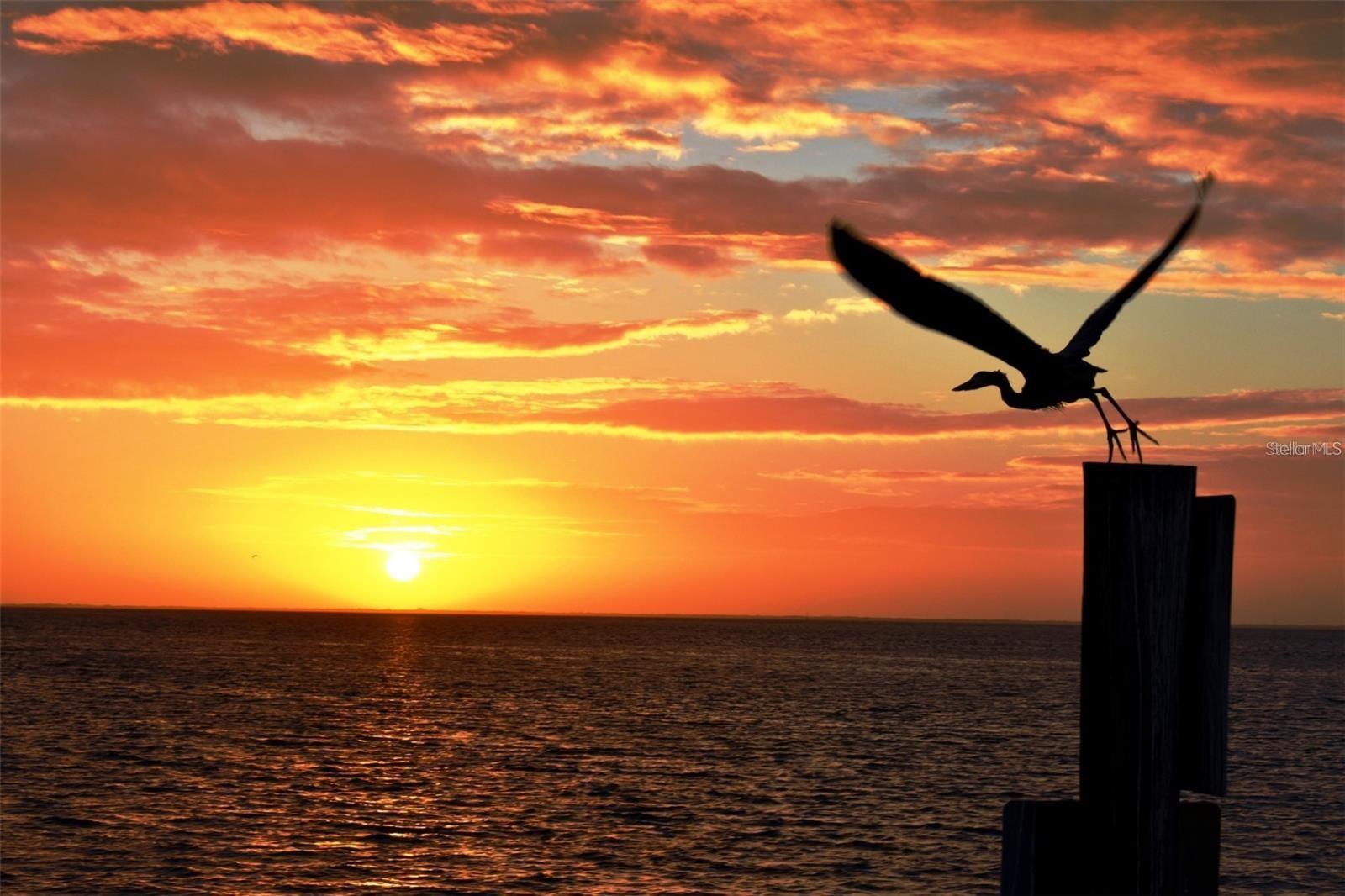 Sunsets from Waterside