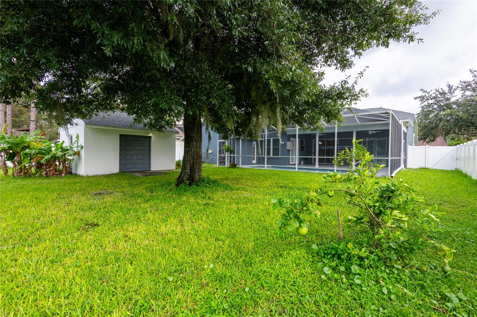 Rear view of fruit tree, storage building and home