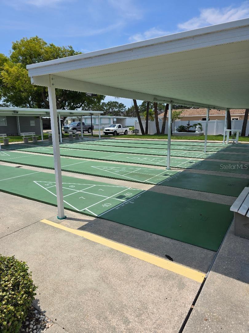 Shuffleboard