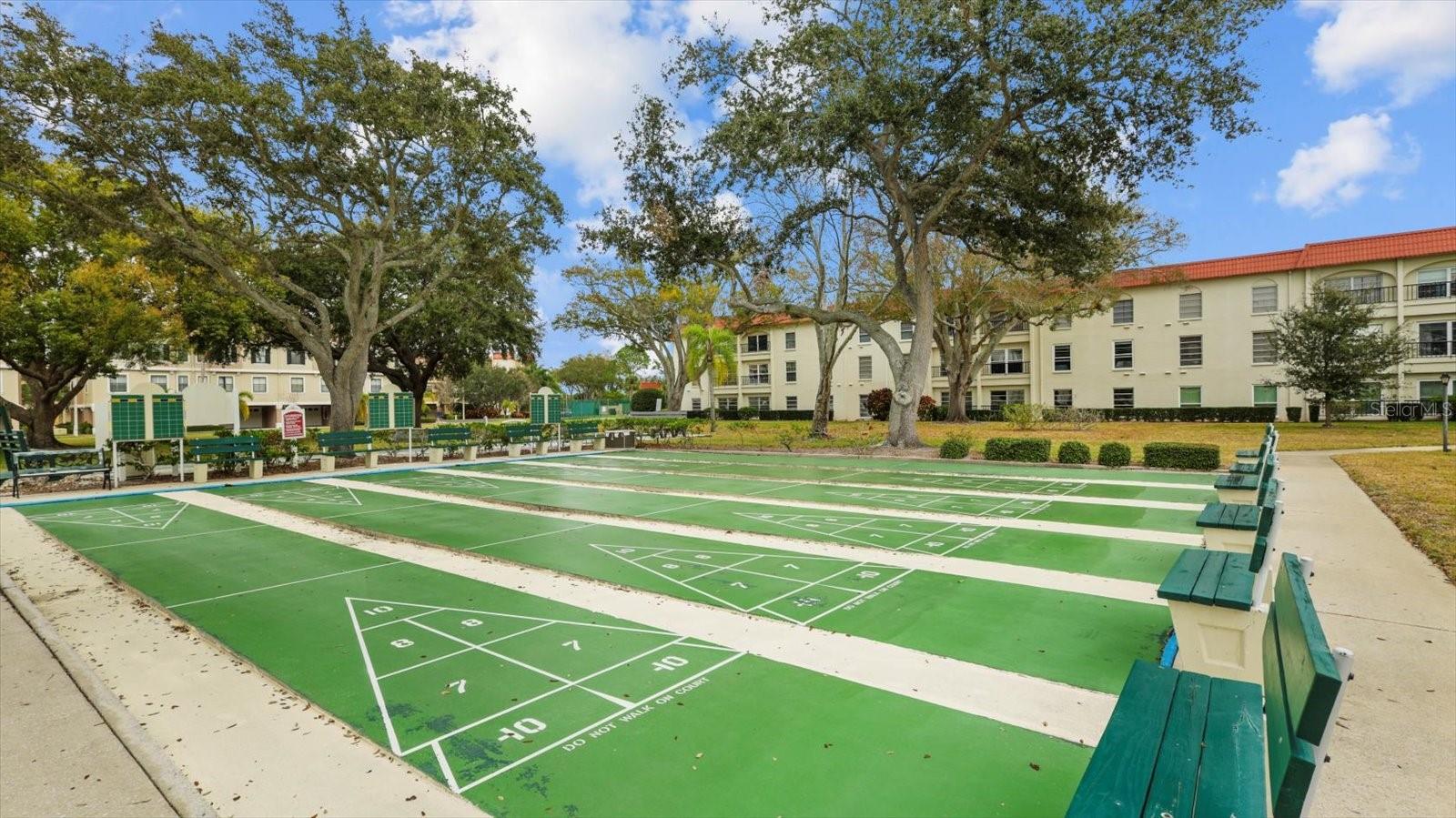 Shuffleboard