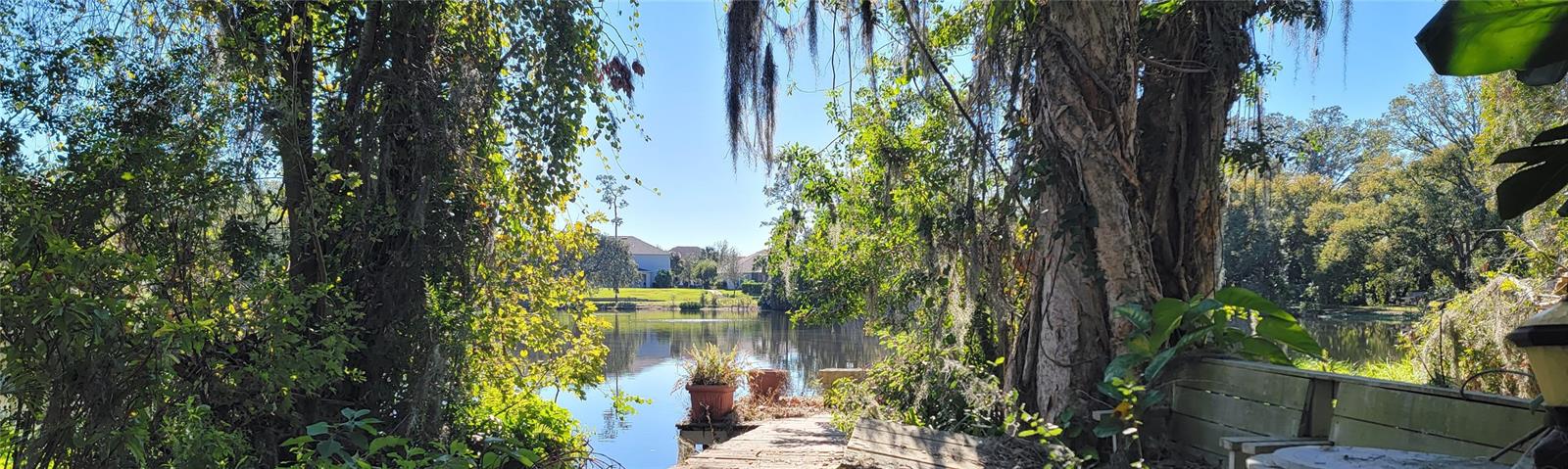 Backyard view