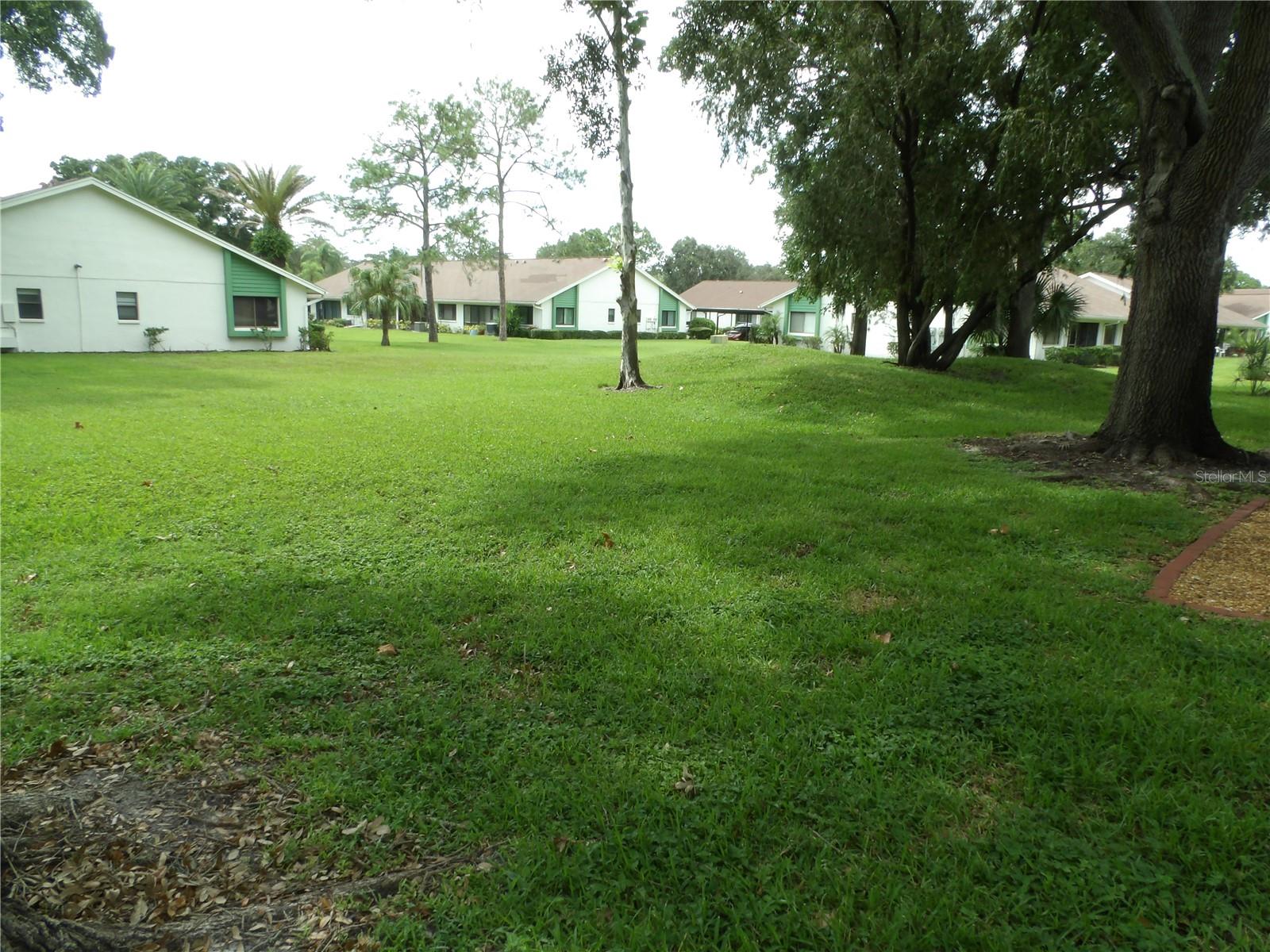 Backyard View