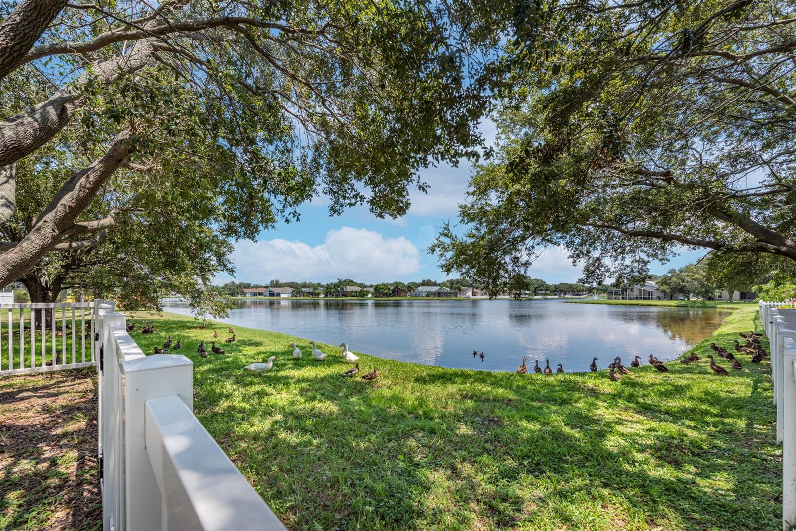 Tranquil lake views and the local florida wildlife as seen from the backyard behind a full fence with a gate to access the lake.