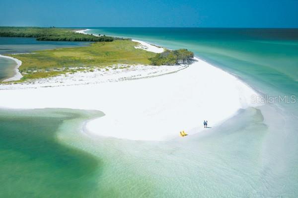 Caladesi Island Voted #1 Beach in the Nation