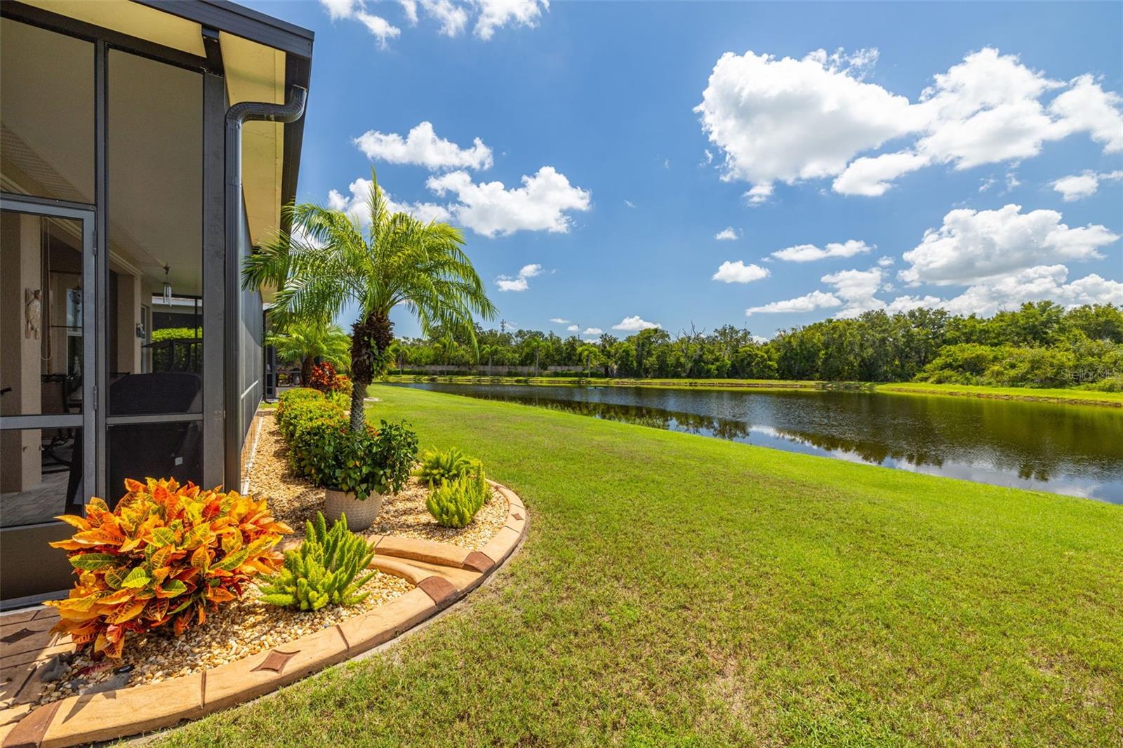 Backyard with pond view