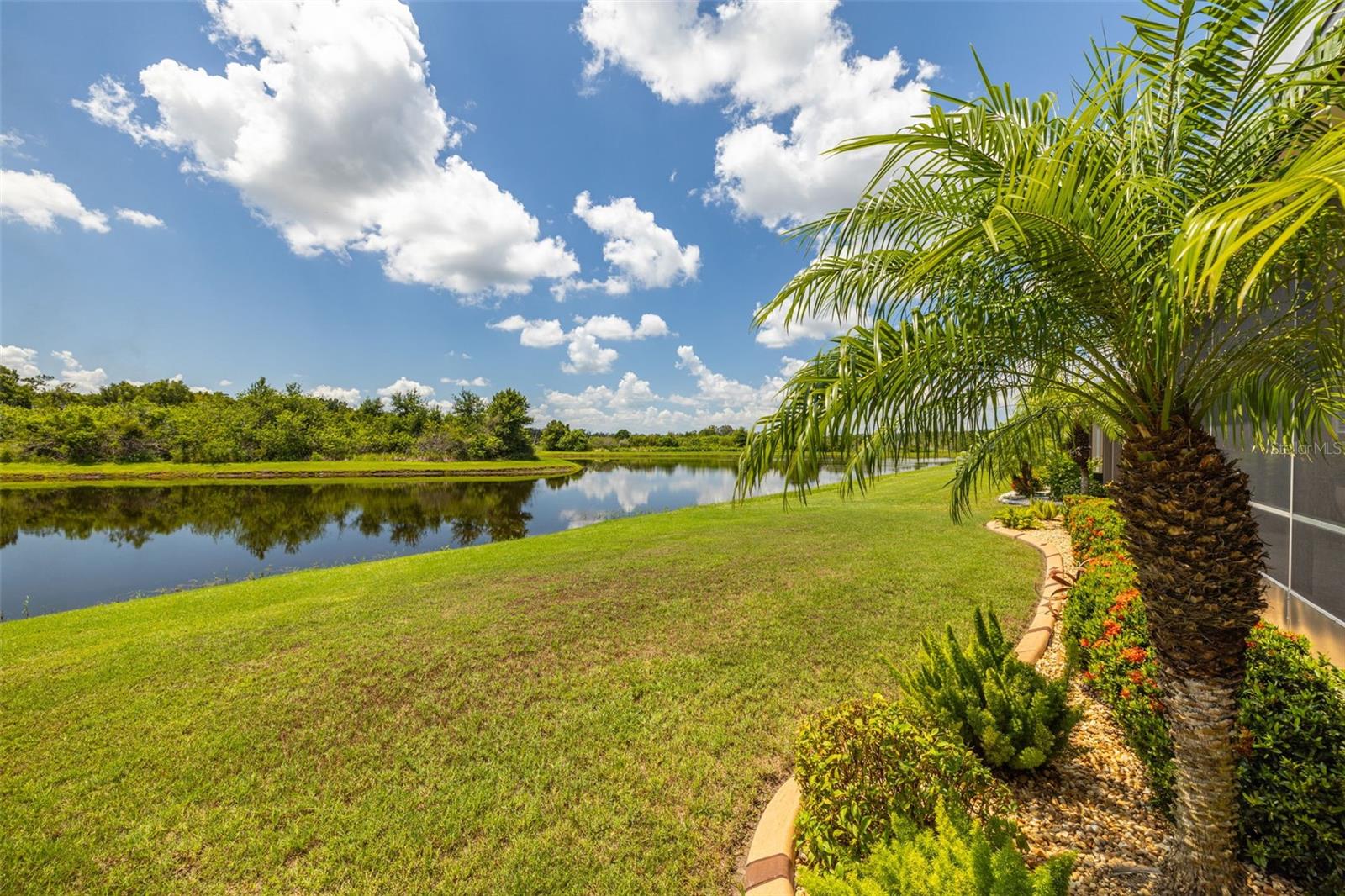 Pond view