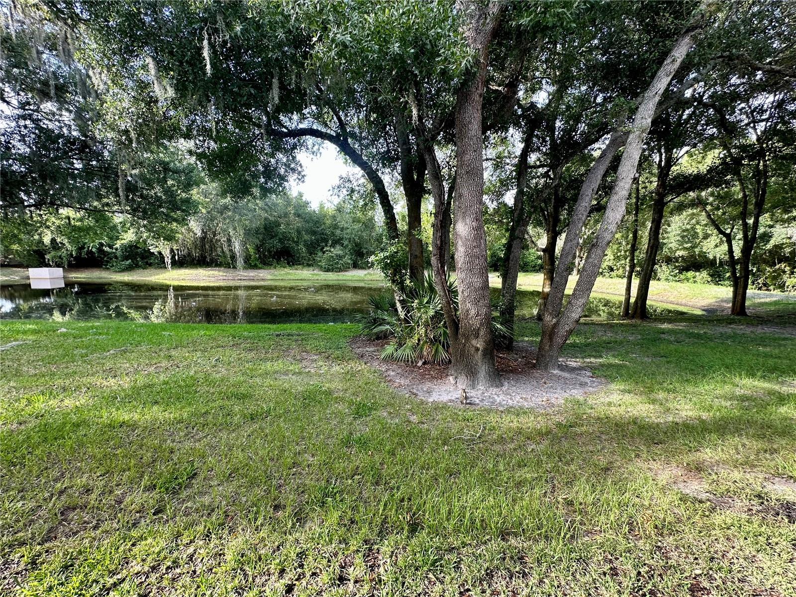 Pond View - Back of Townhouse