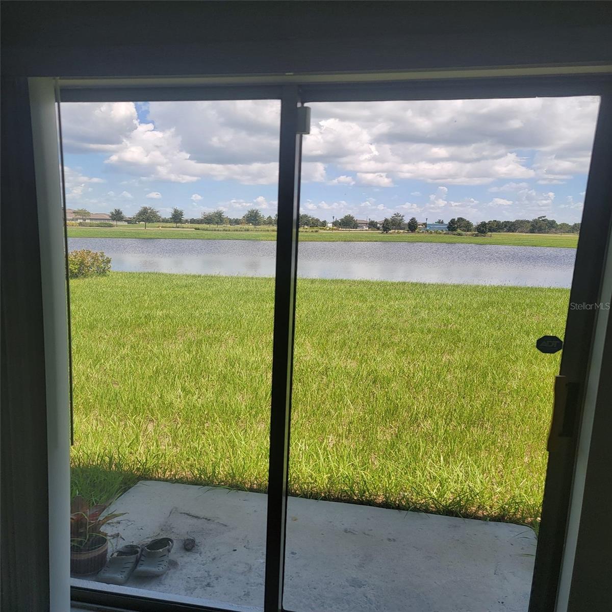 View of Backyard/Pond  from Living Room