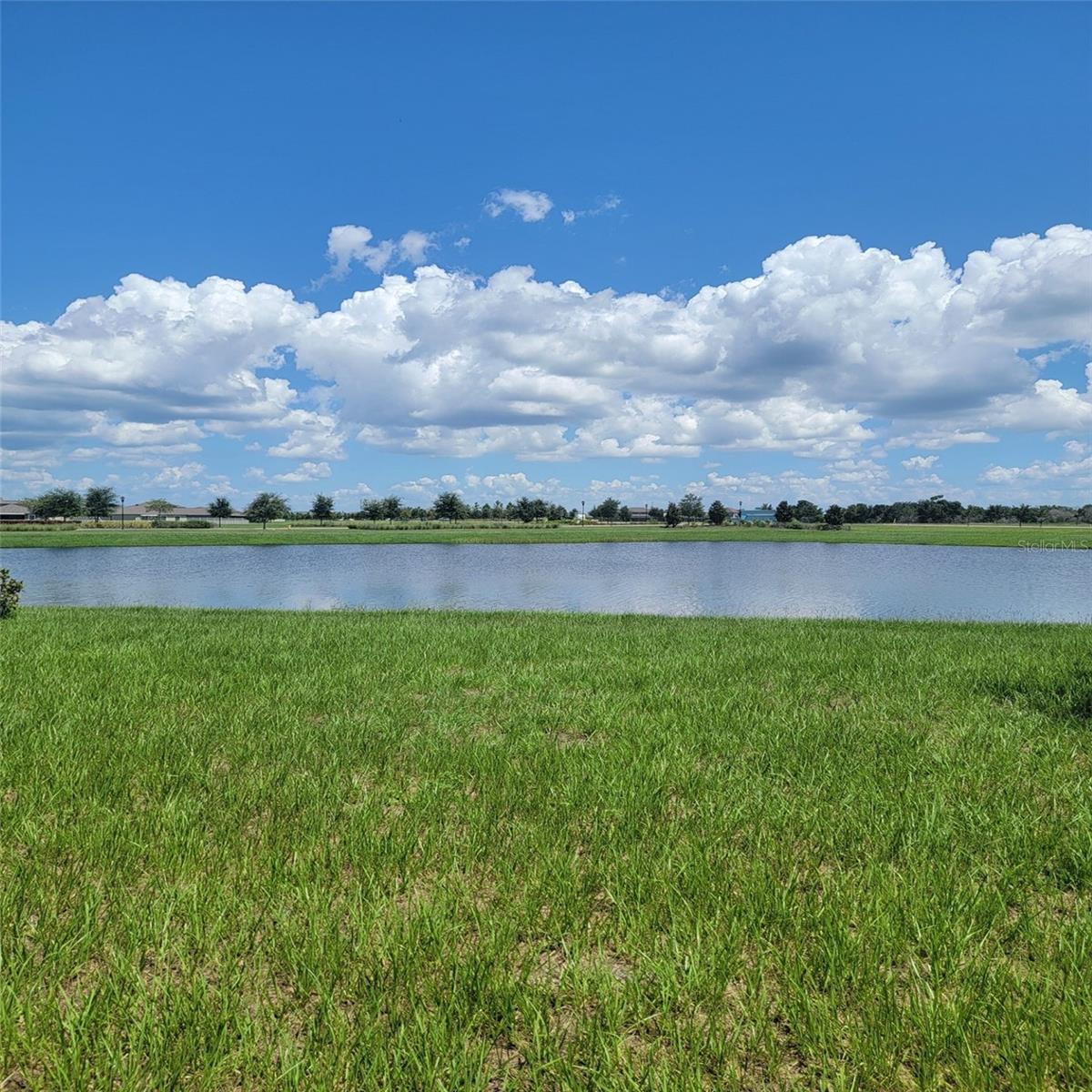 View of Pond in Backyard area