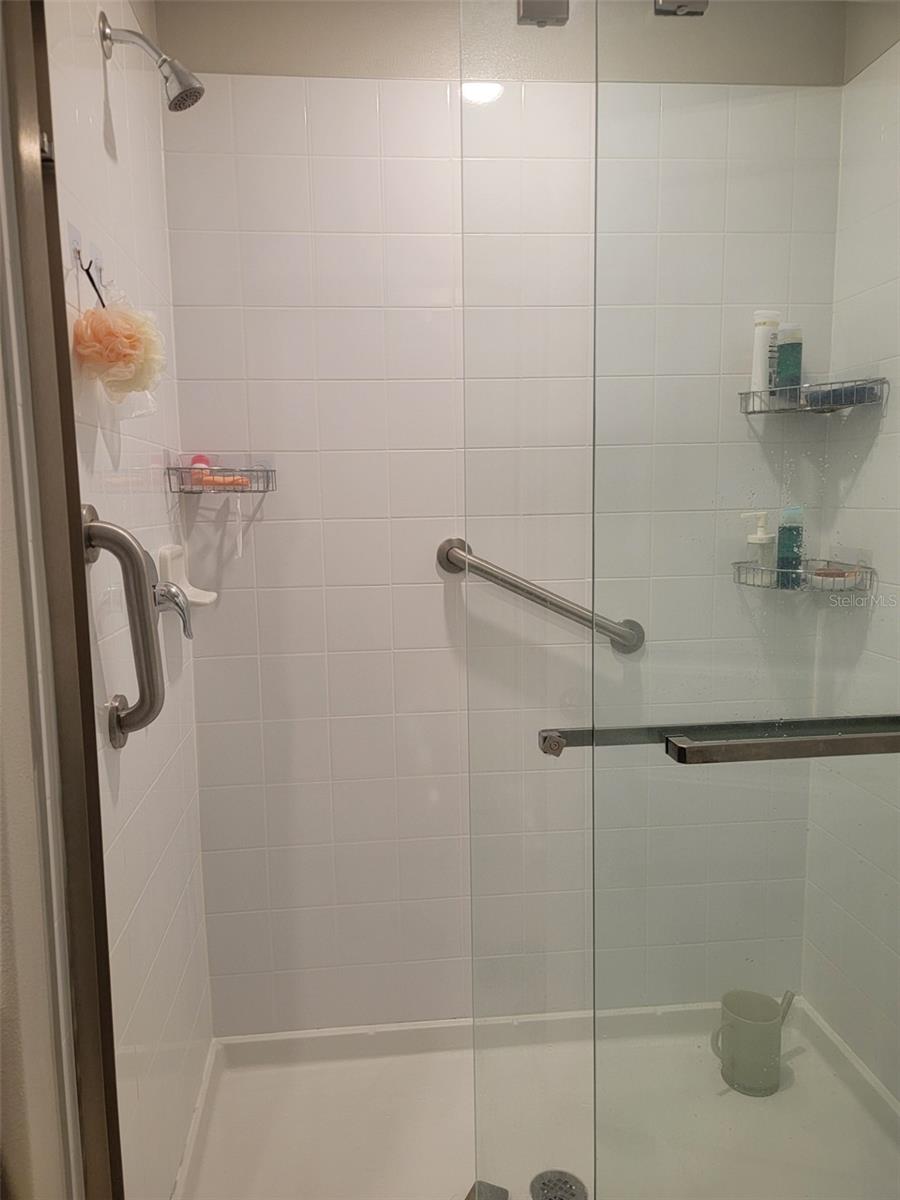 Master Suite Shower