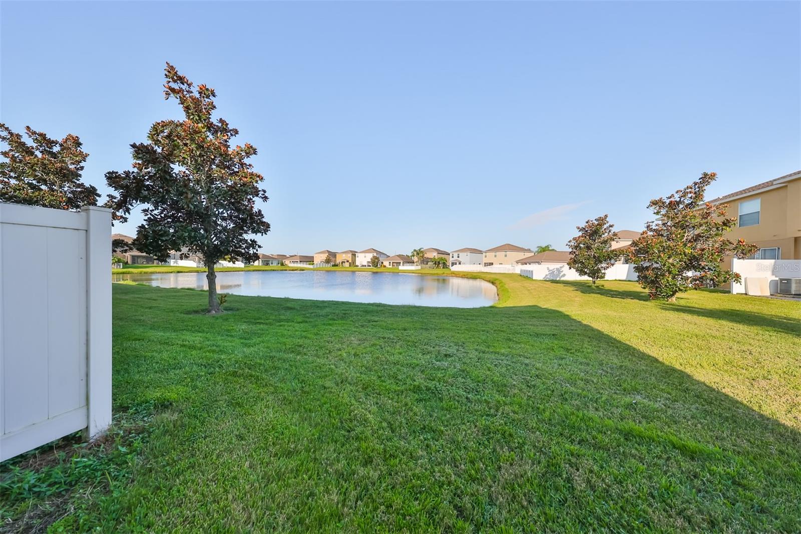 Backyard View