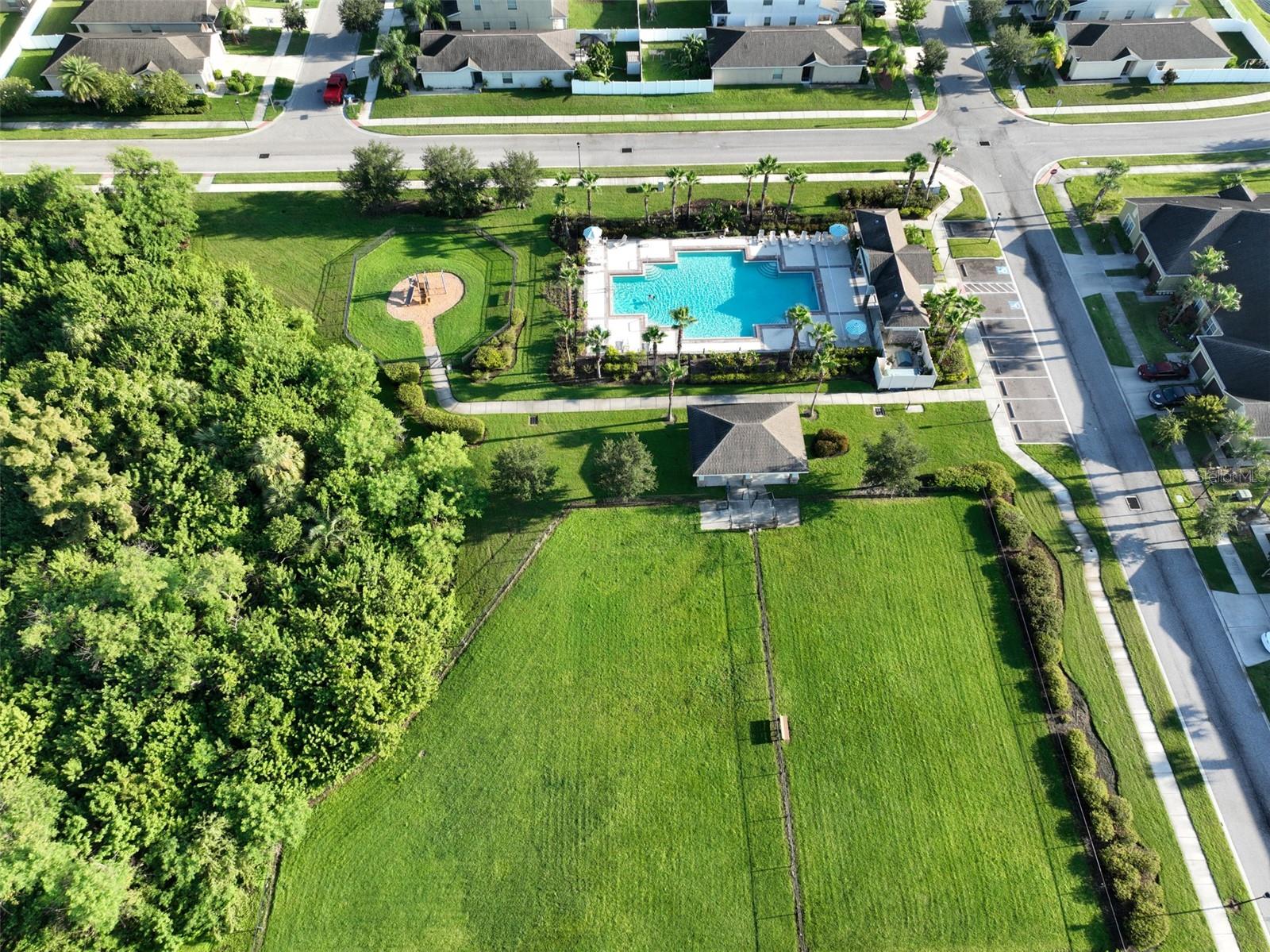 Pool and Dog Park View