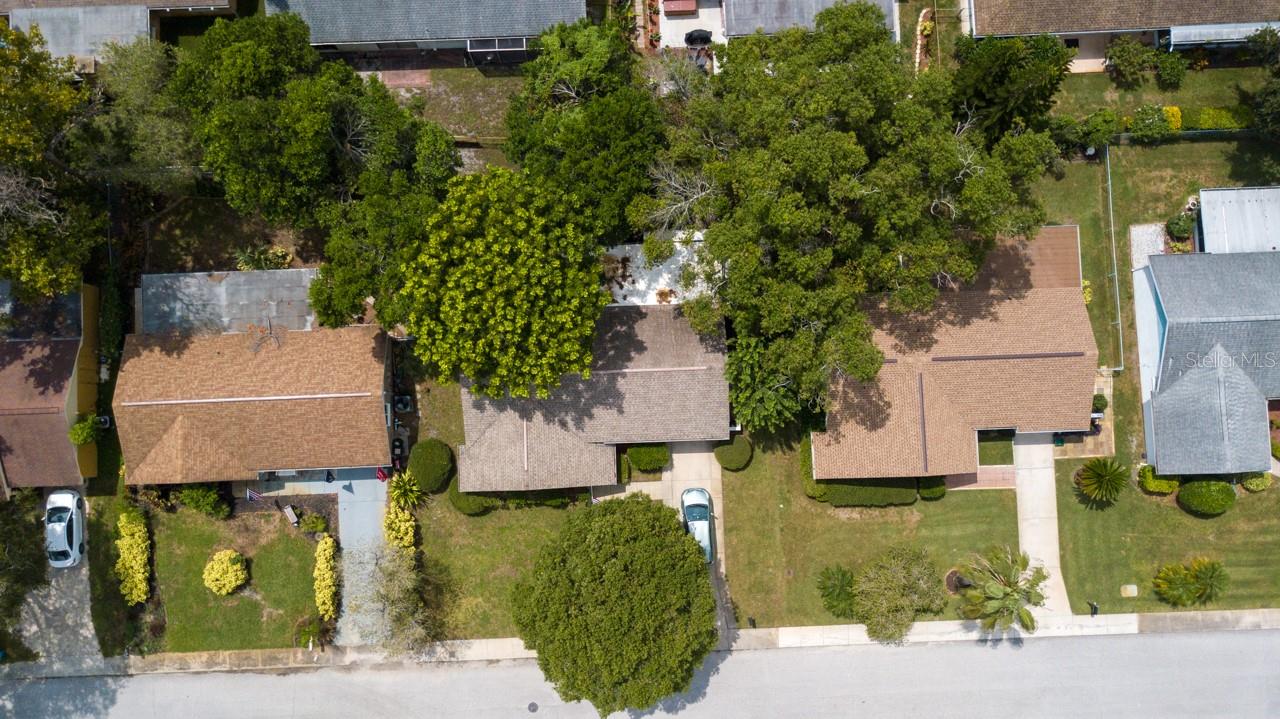 DRONE IMAGE SHOWING MATURE TREES