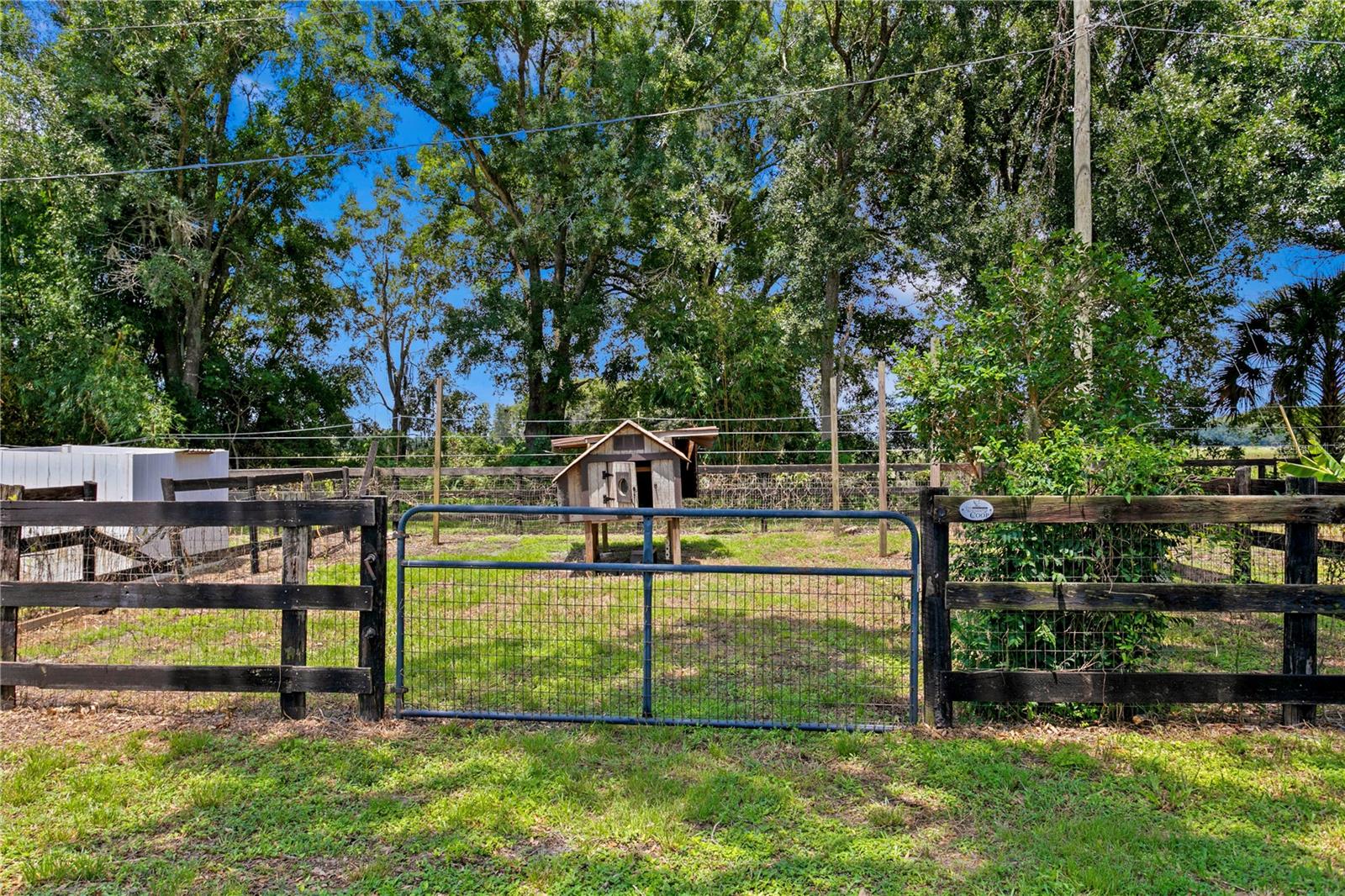 Chicken Coop