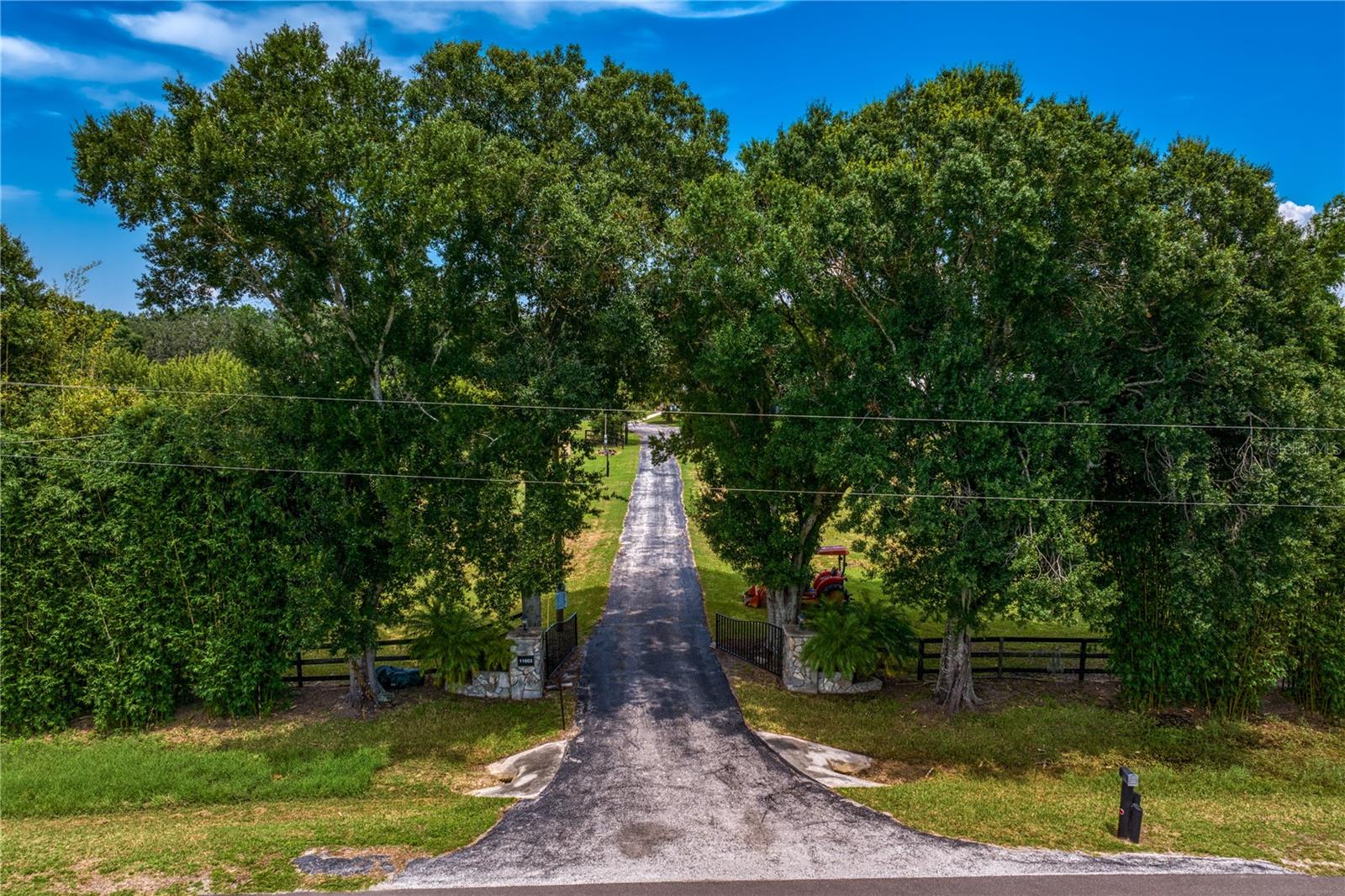 Front Entrance through Trees