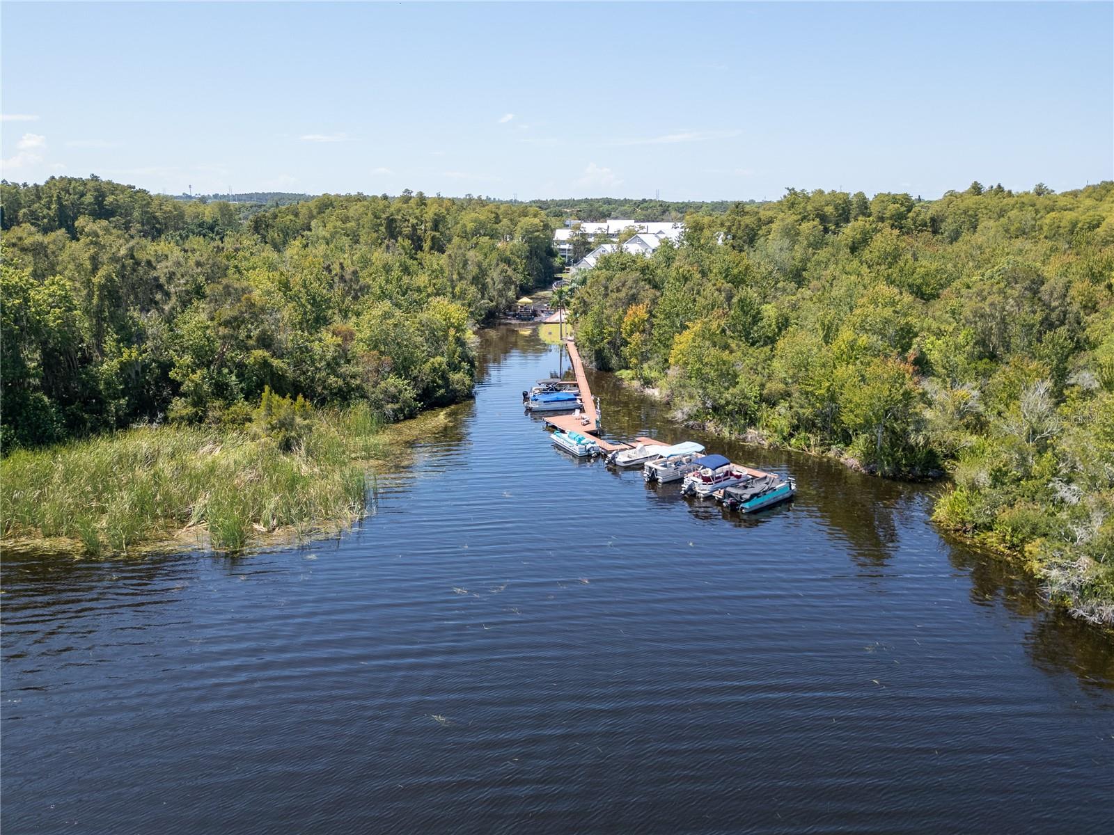 Lake Tarpon