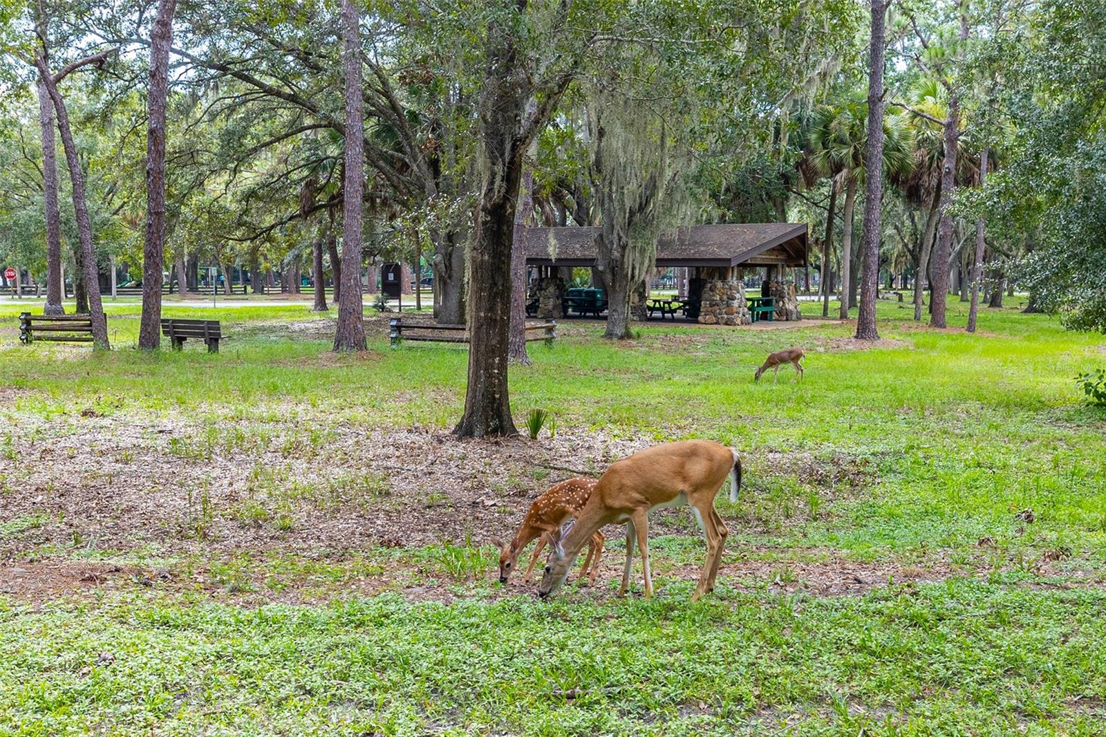 Nearby John Chestnut Park