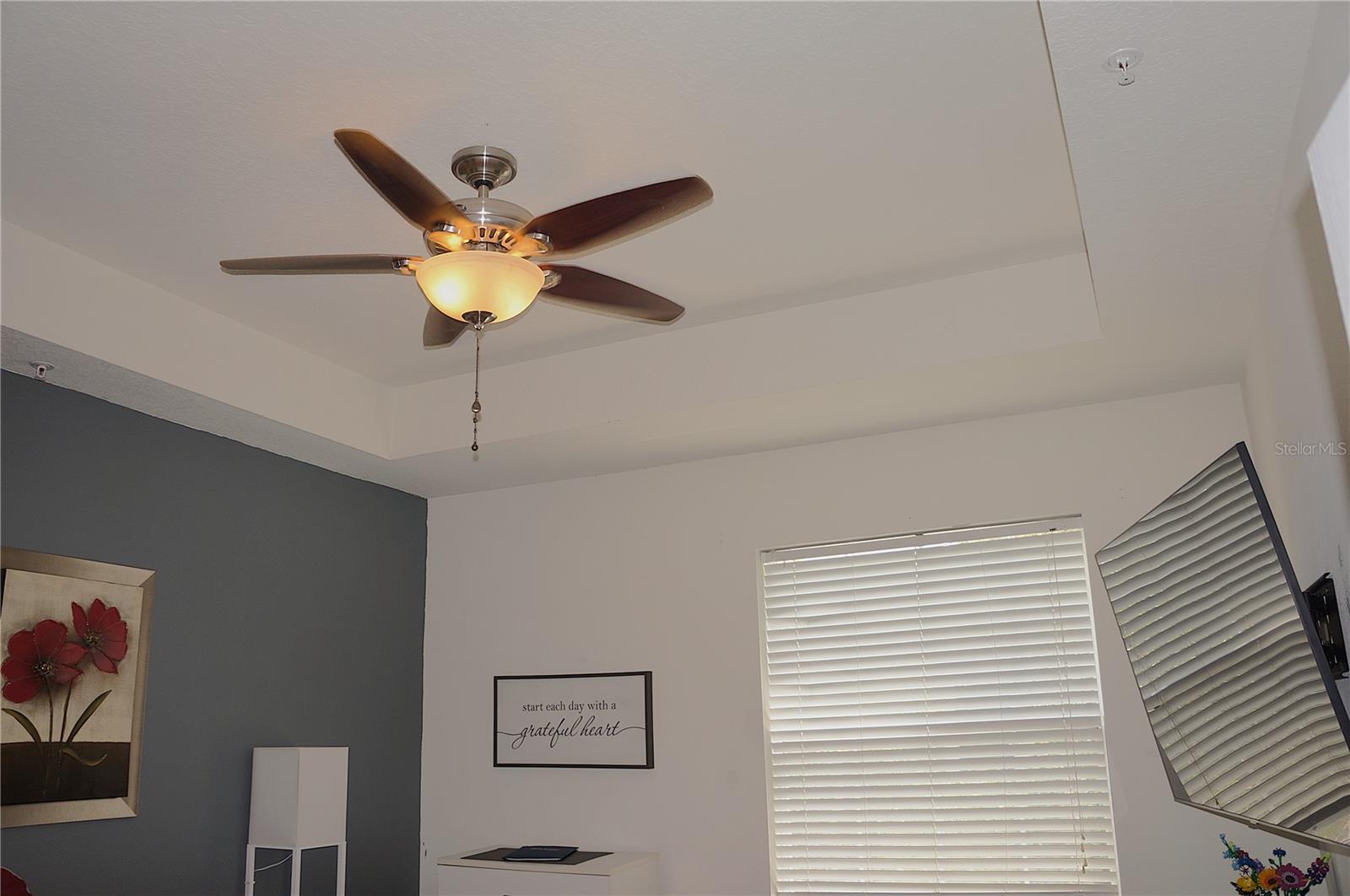 Tray Ceilings in Primary