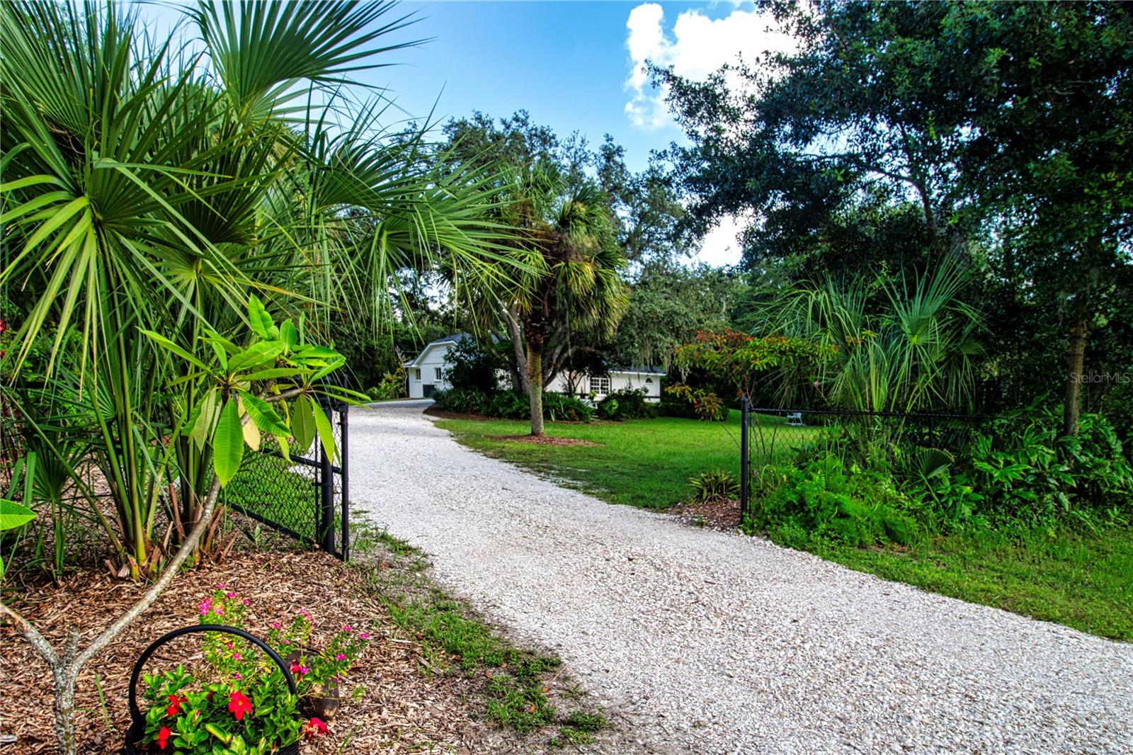 View of the driveway