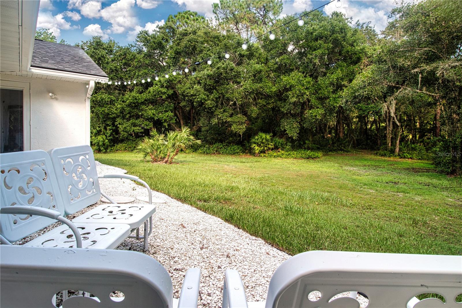 view of back yard