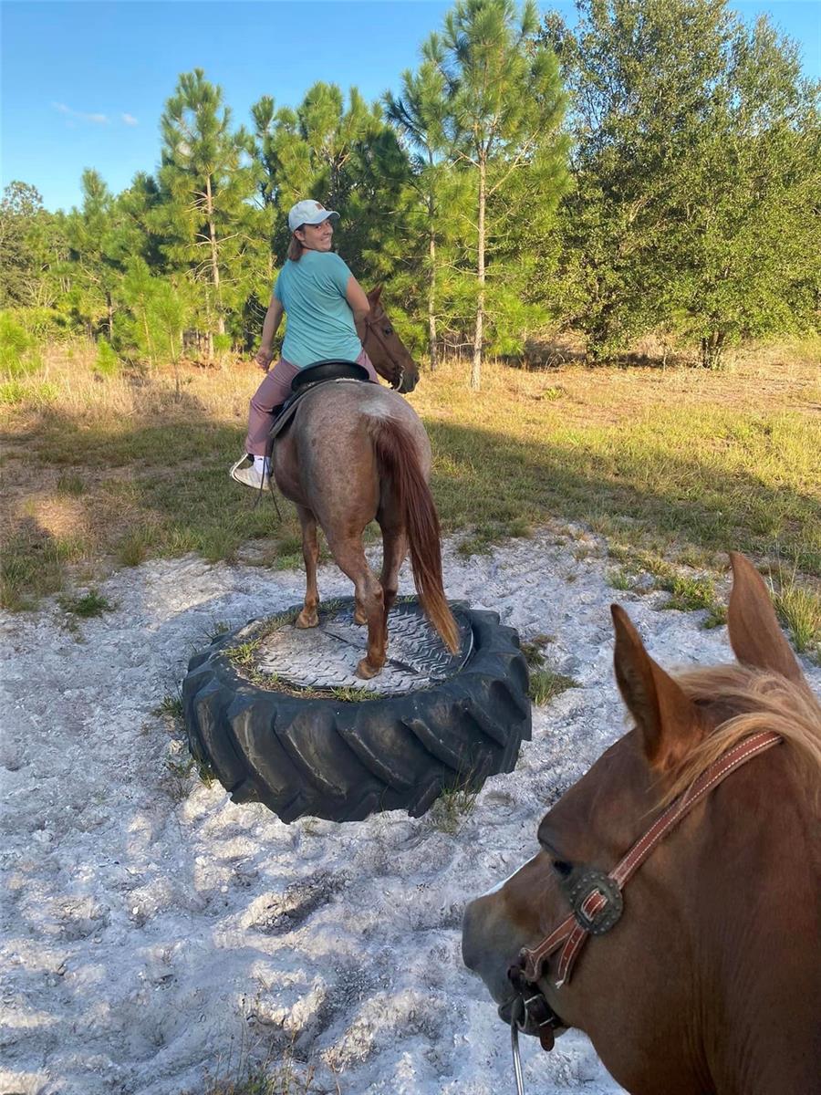 ride off to Obstical course offered by the Manate State Park