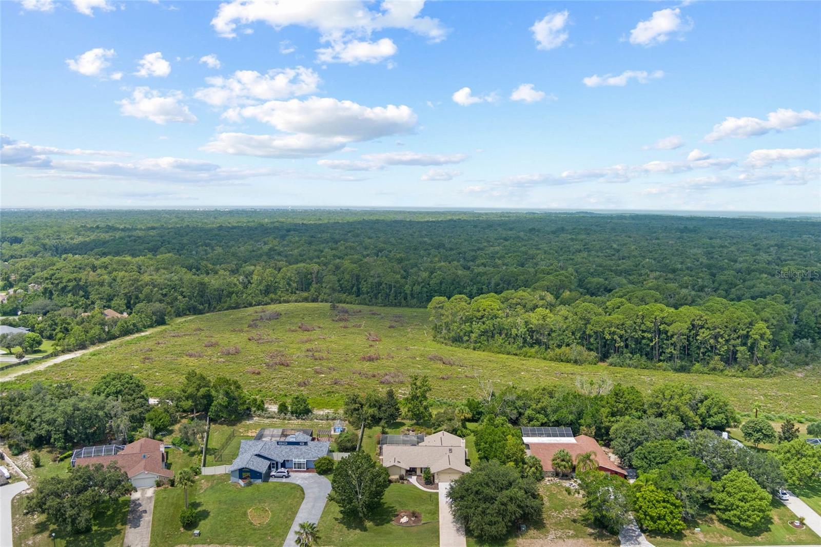 Aerial view of homes and preserve