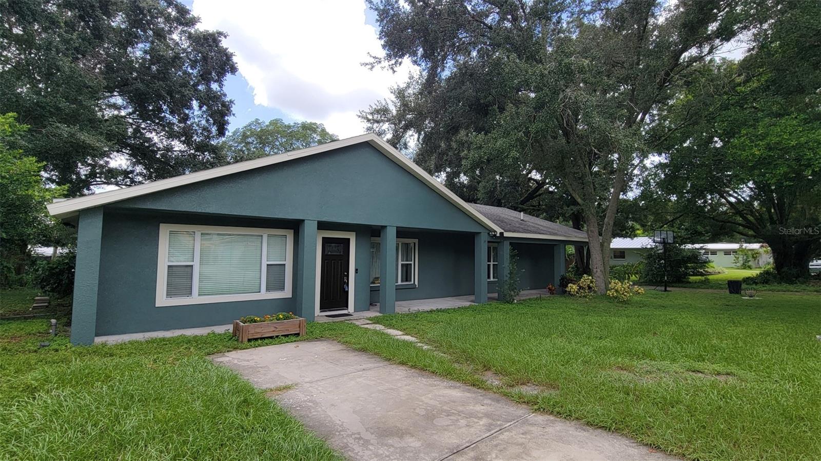 T3549596