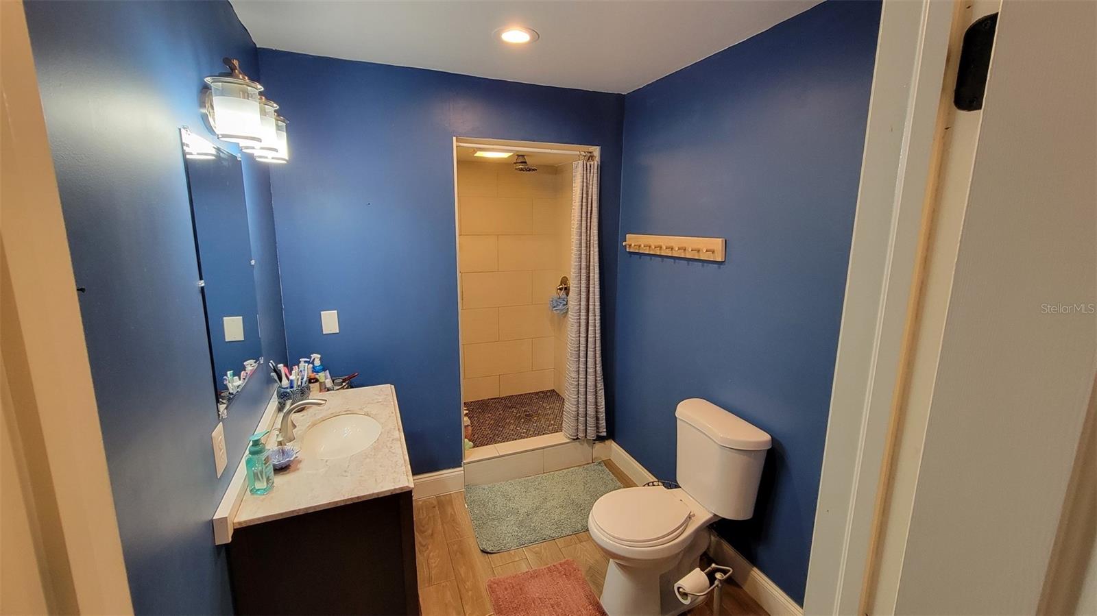 T3549596
