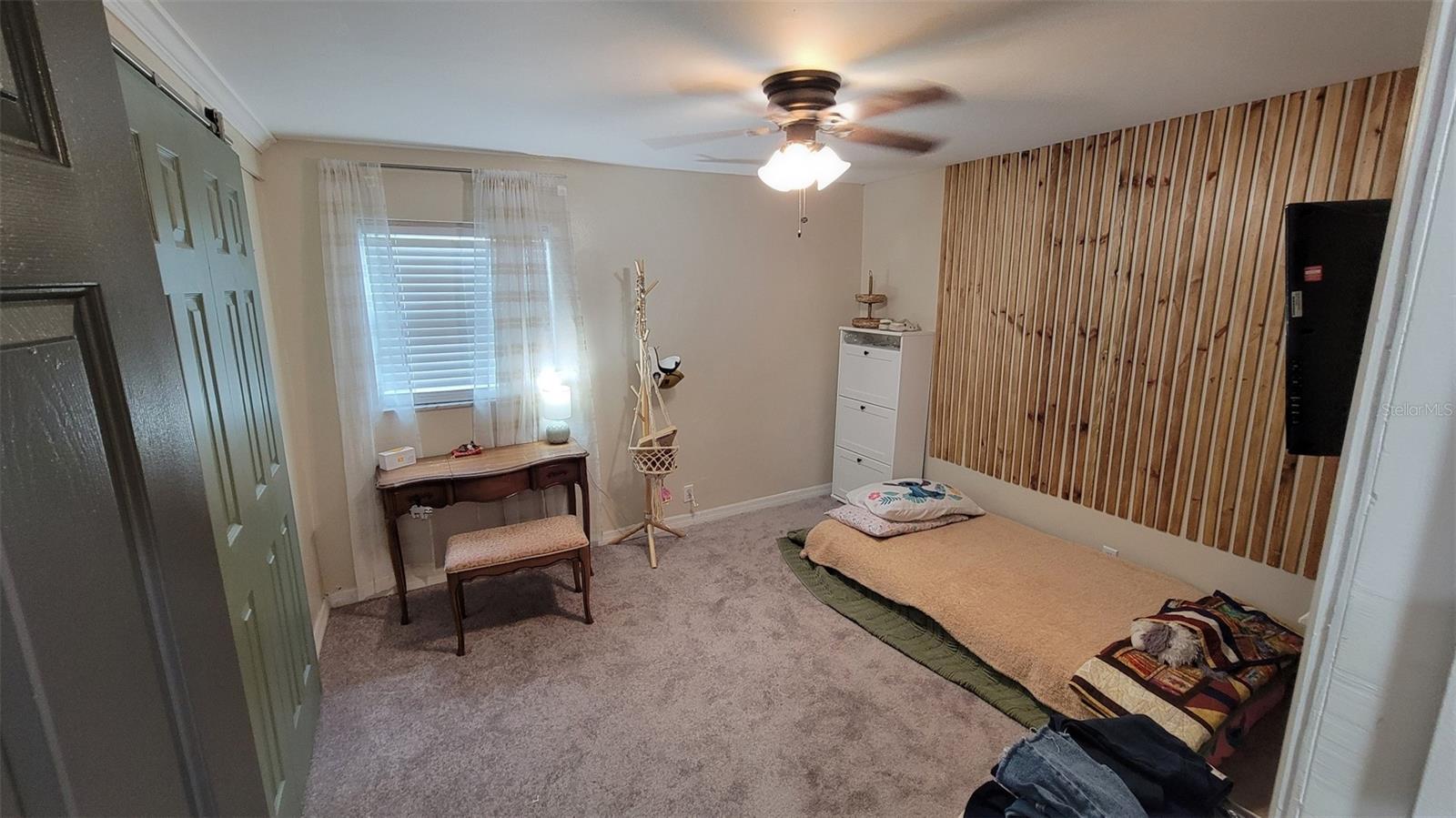 T3549596
