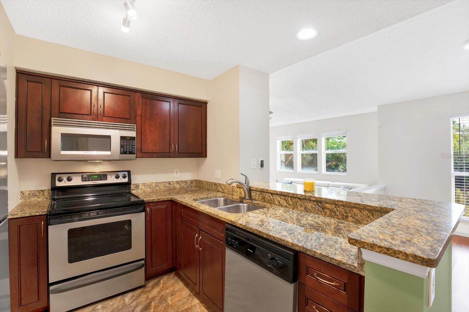 Kitchen overlooking the Dining and Living Room