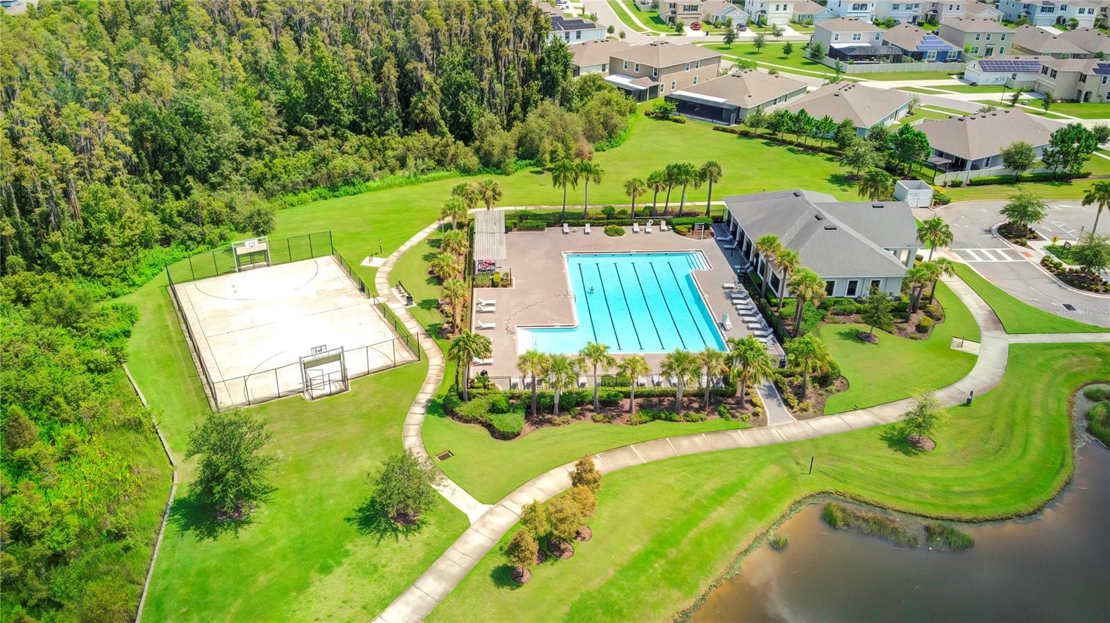 far away view of the olympic pool