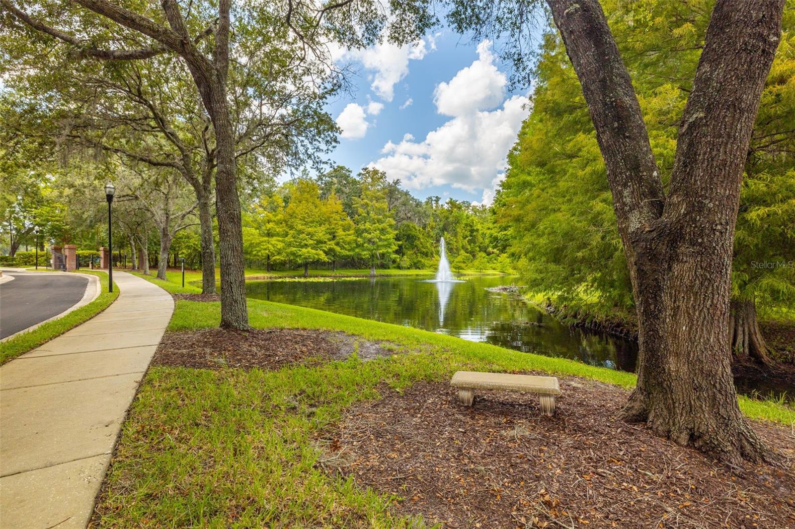 Community trees and pond